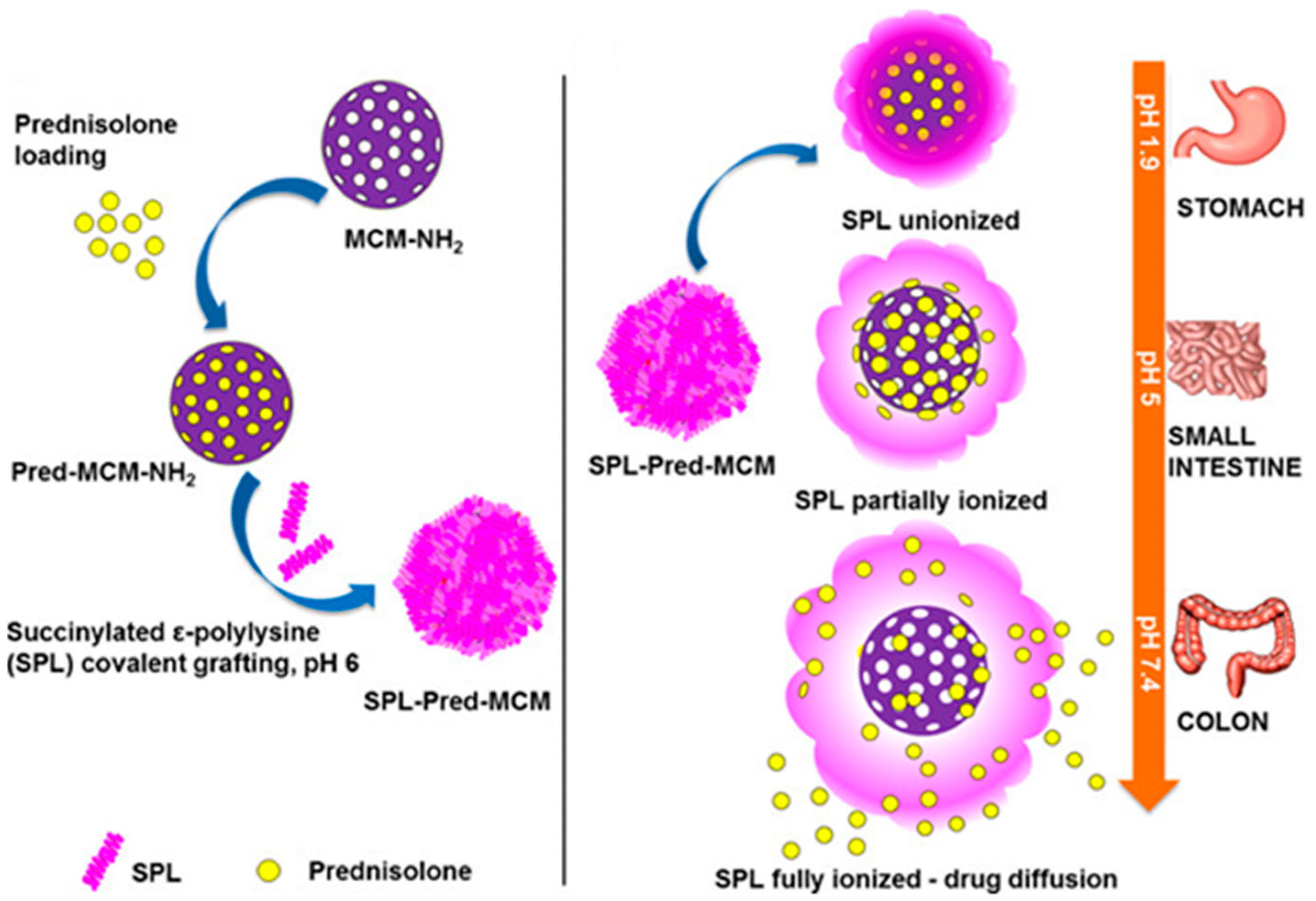 Molecules 24 02961 g001