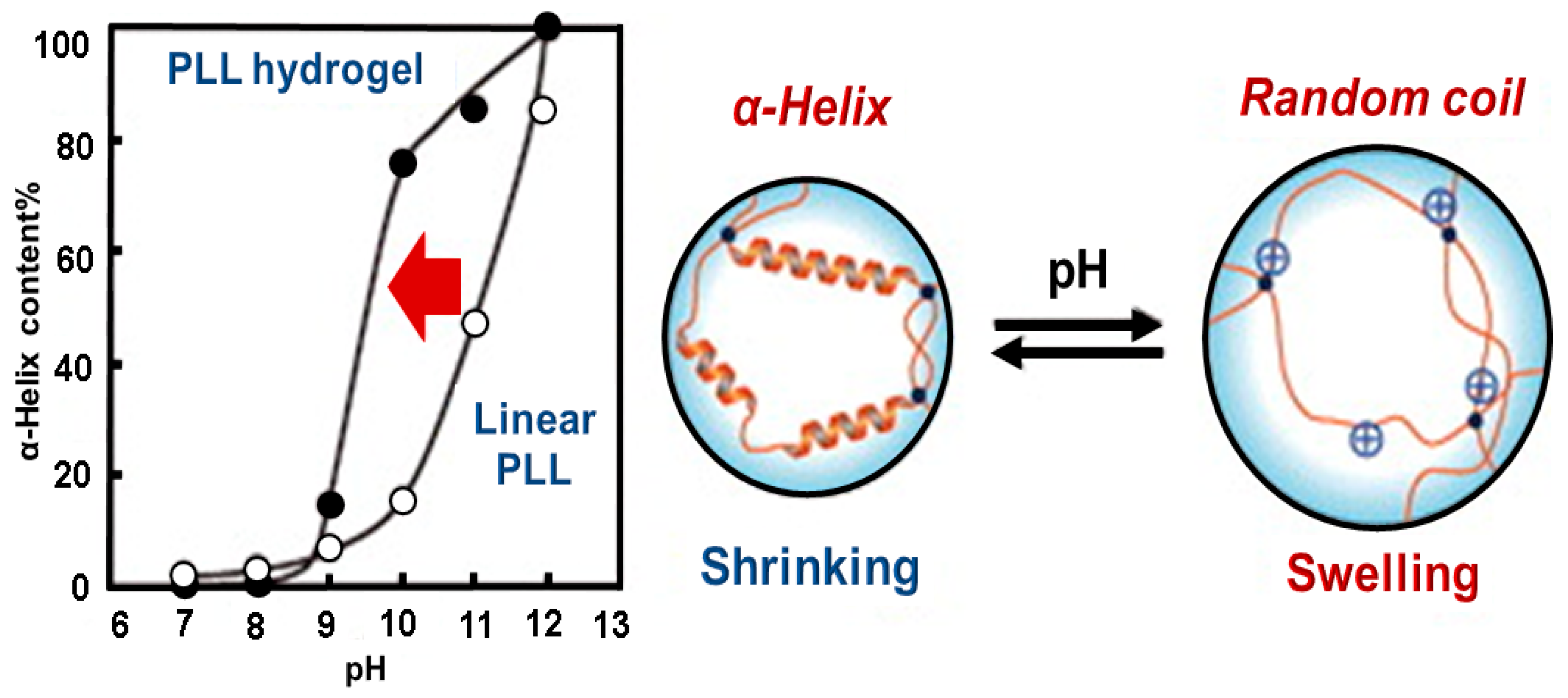 Molecules 24 02961 g002