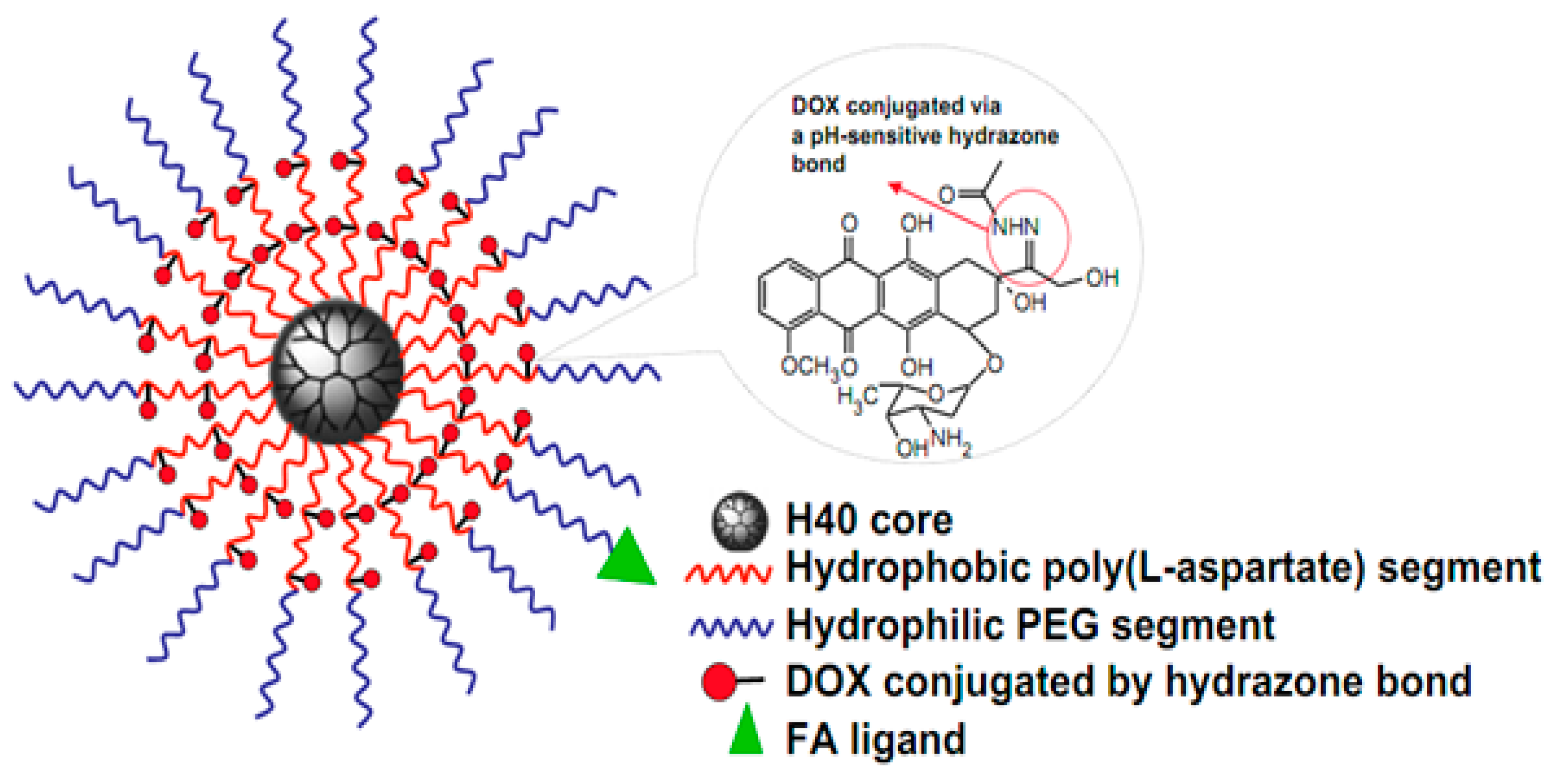 Molecules 24 02961 g006