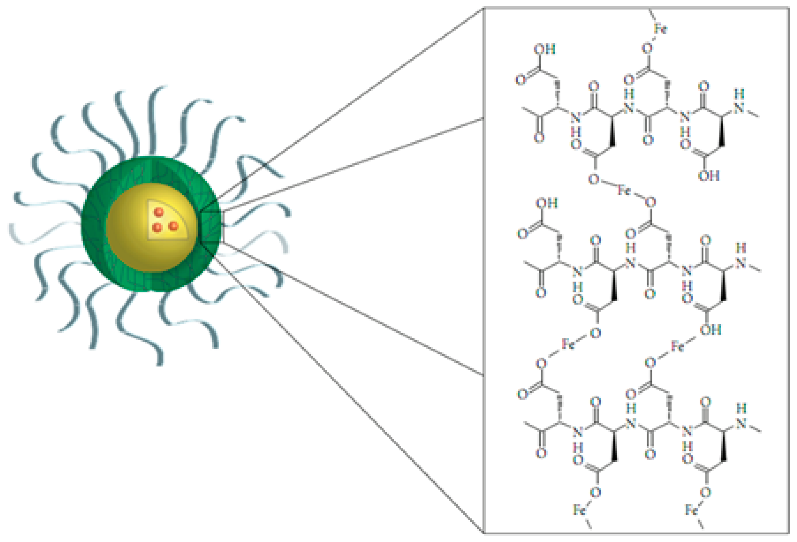Molecules 24 02961 g007