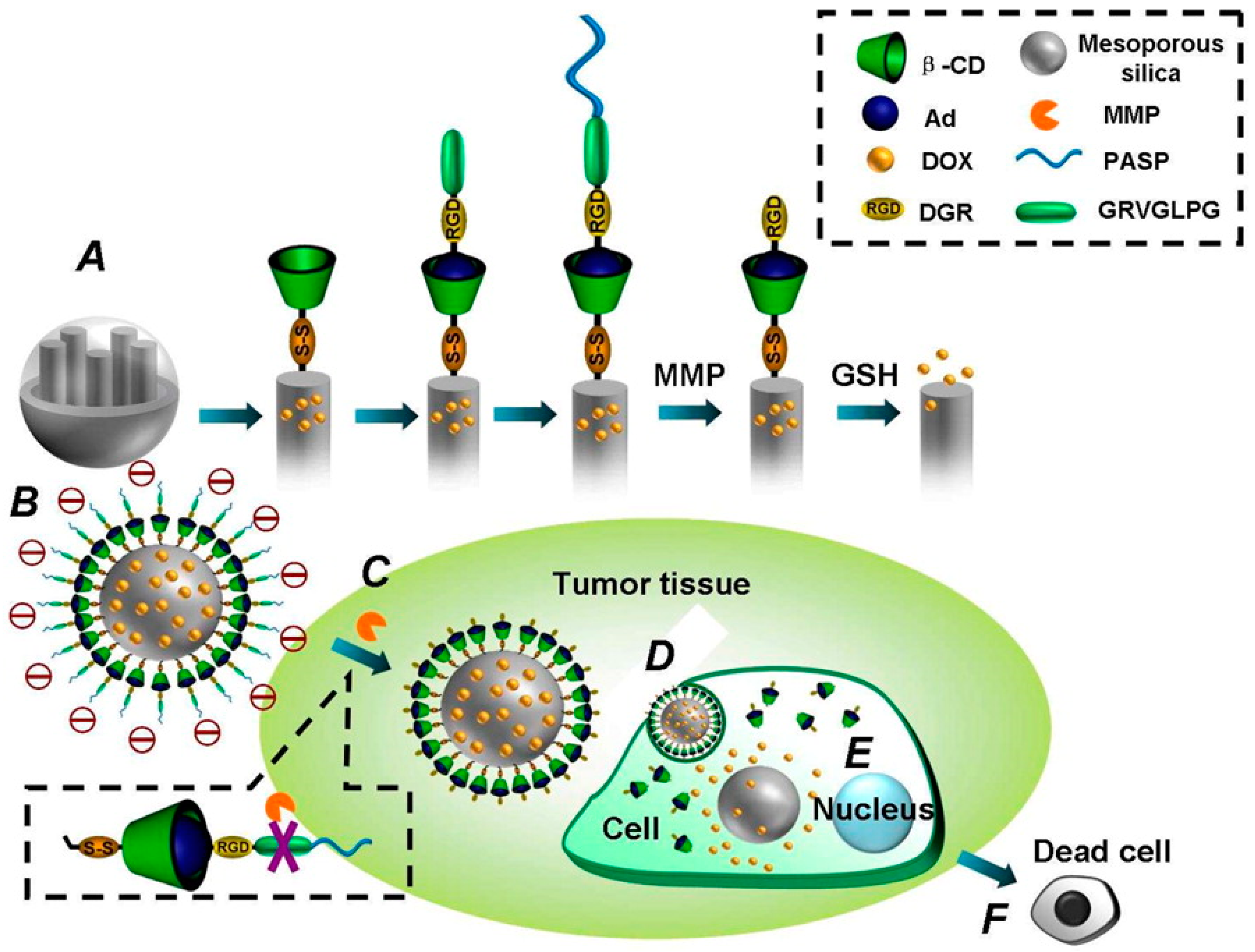Molecules 24 02961 g008