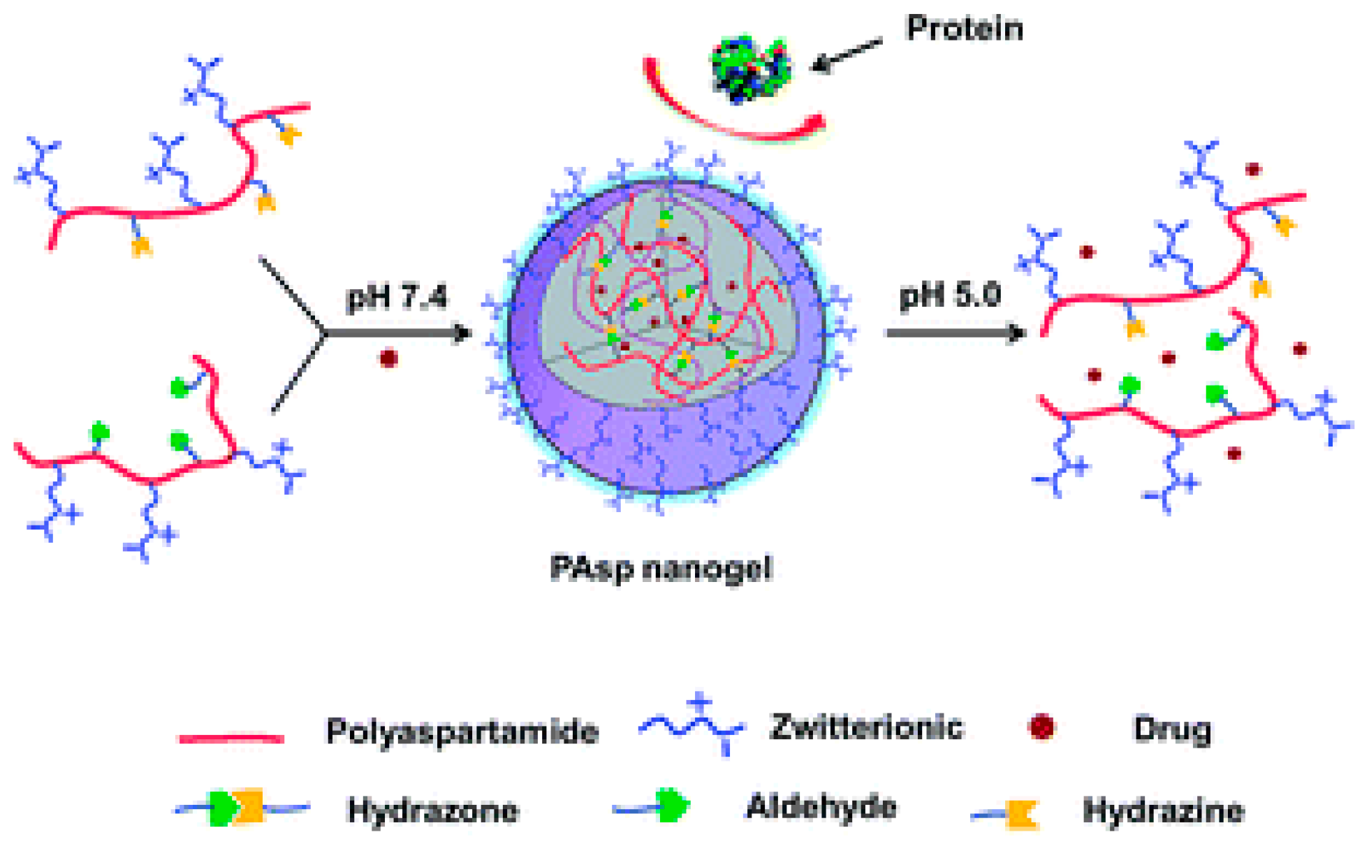 Molecules 24 02961 g009