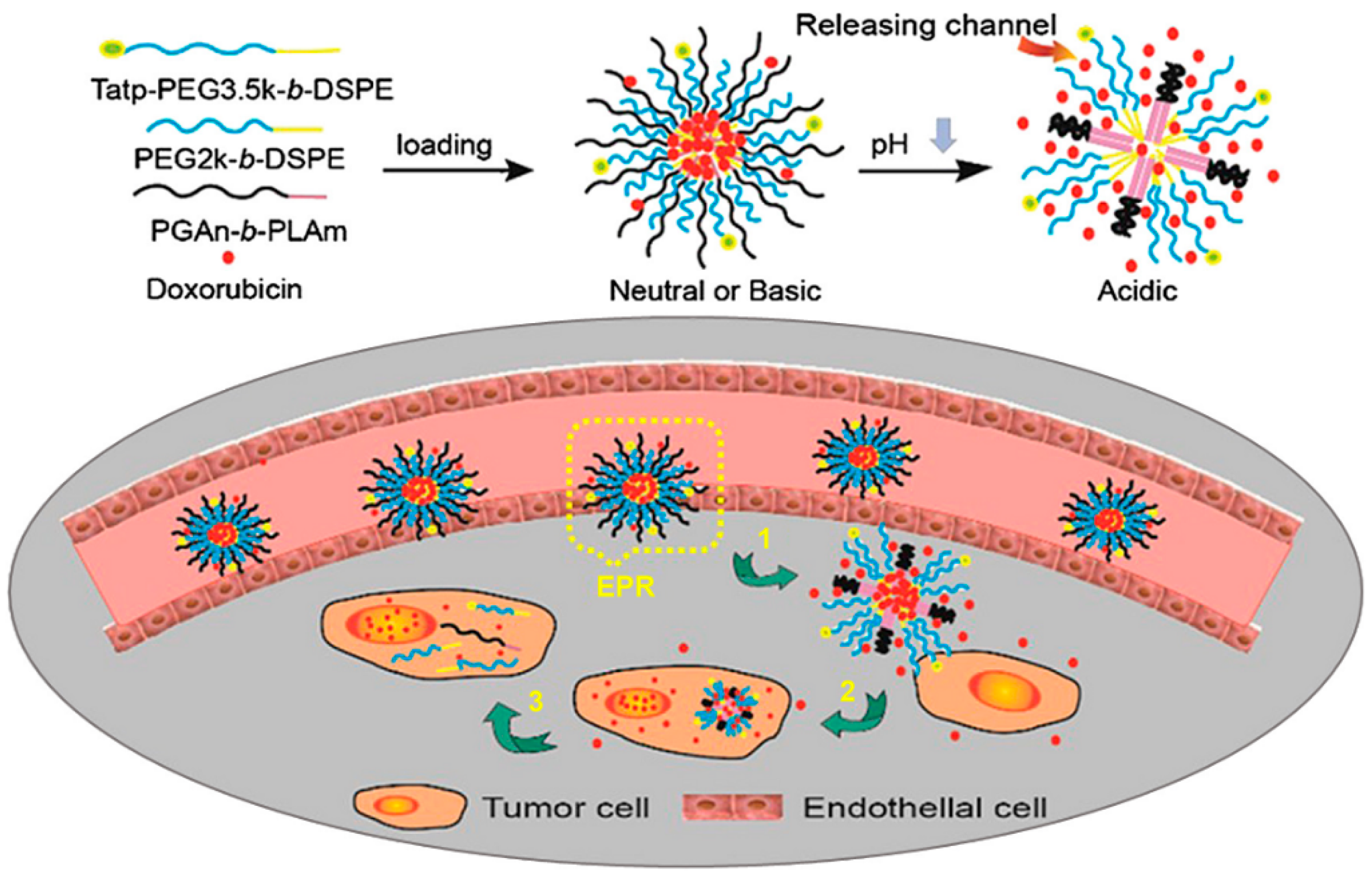 Molecules 24 02961 g014