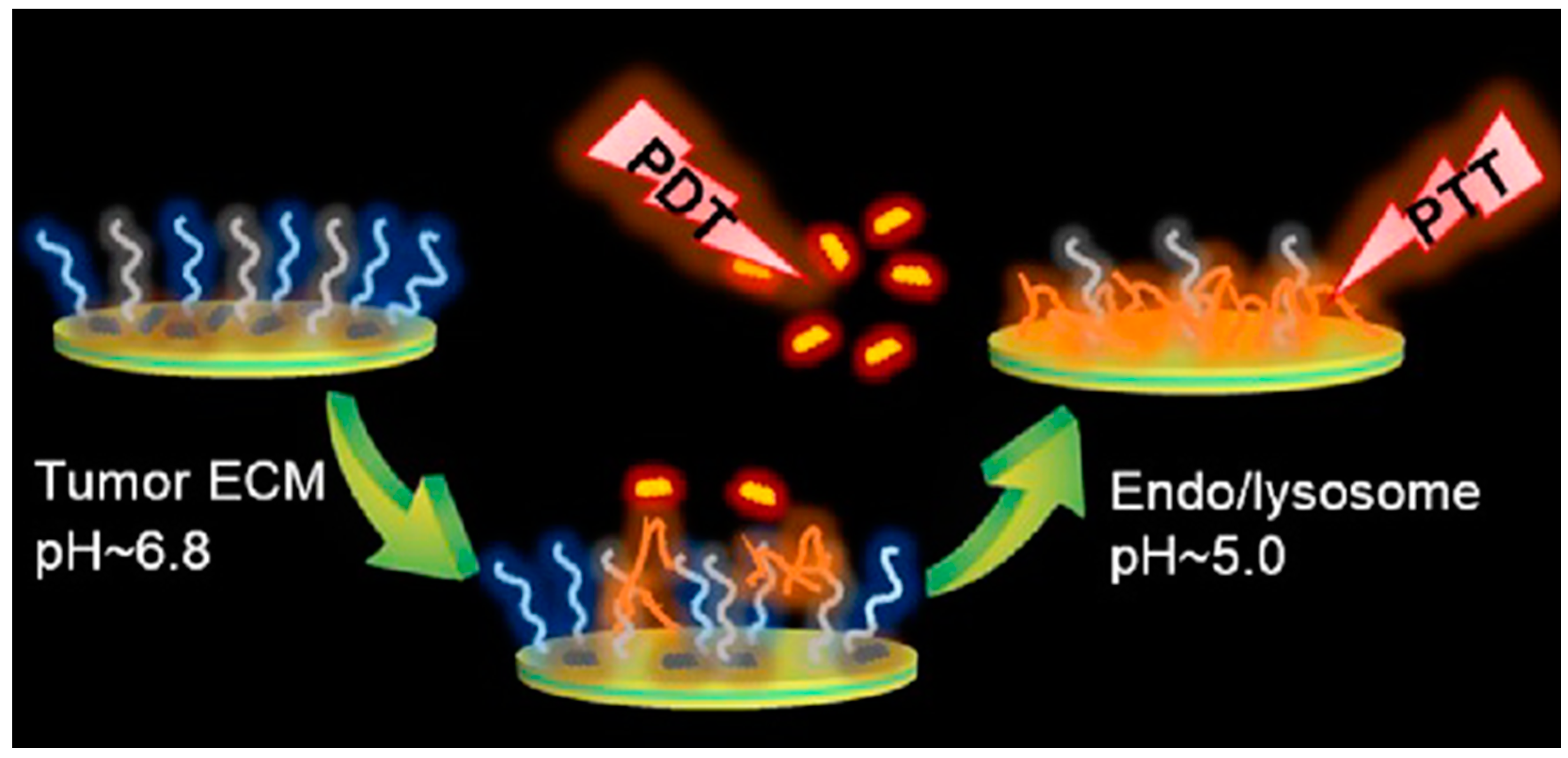 Molecules 24 02961 g016