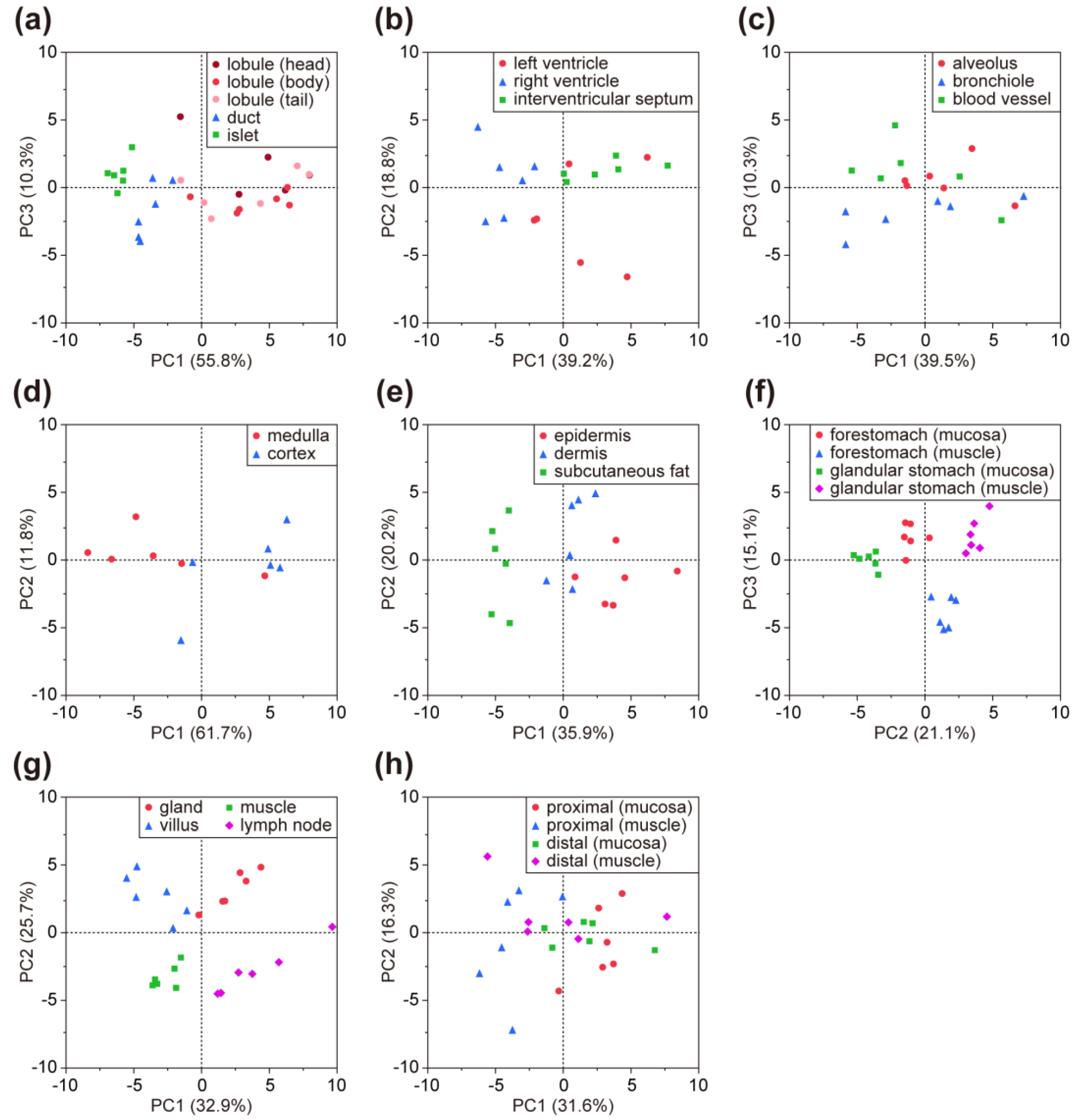 Molecules 24 02962 g004