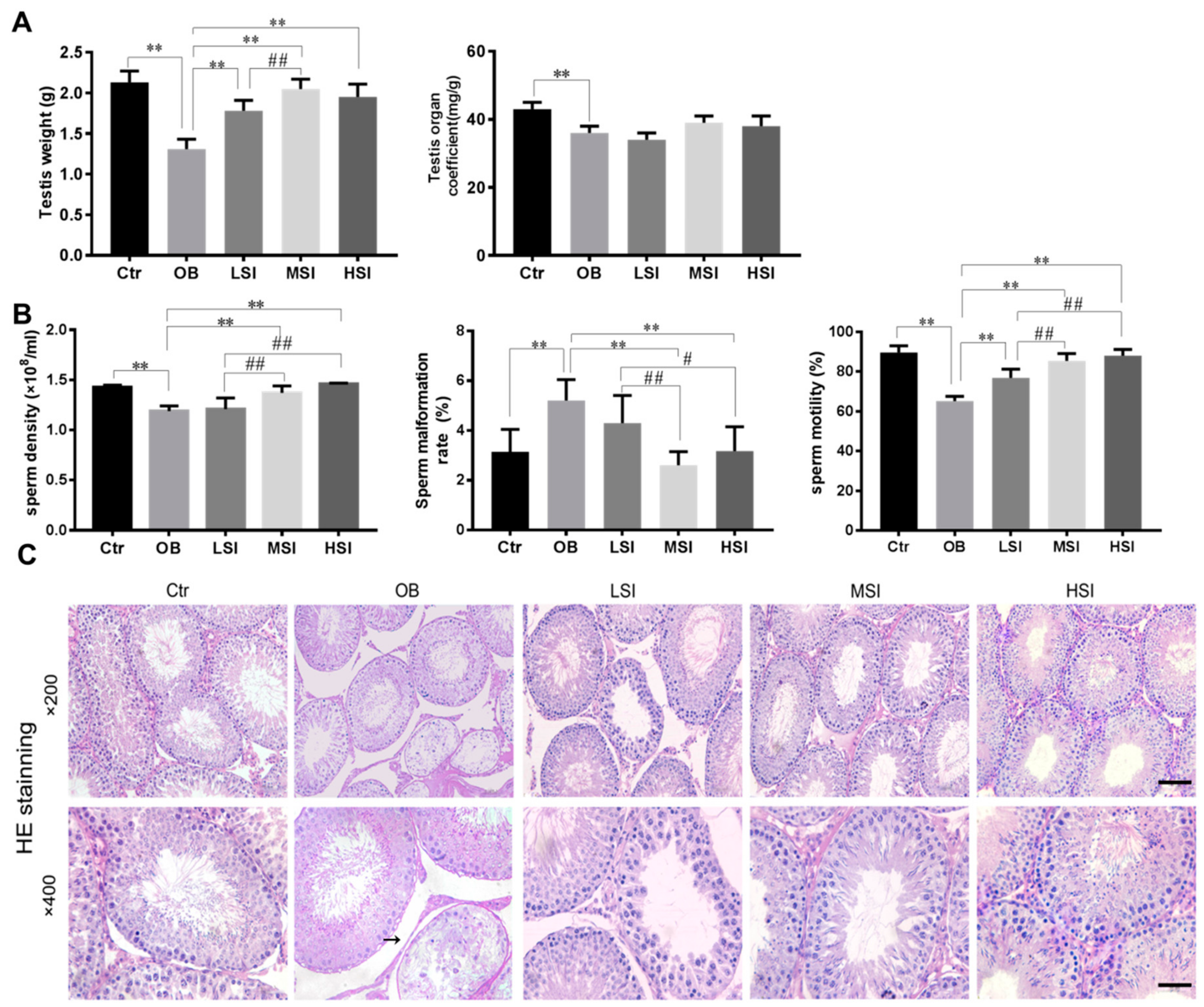 Molecules 24 02966 g001a