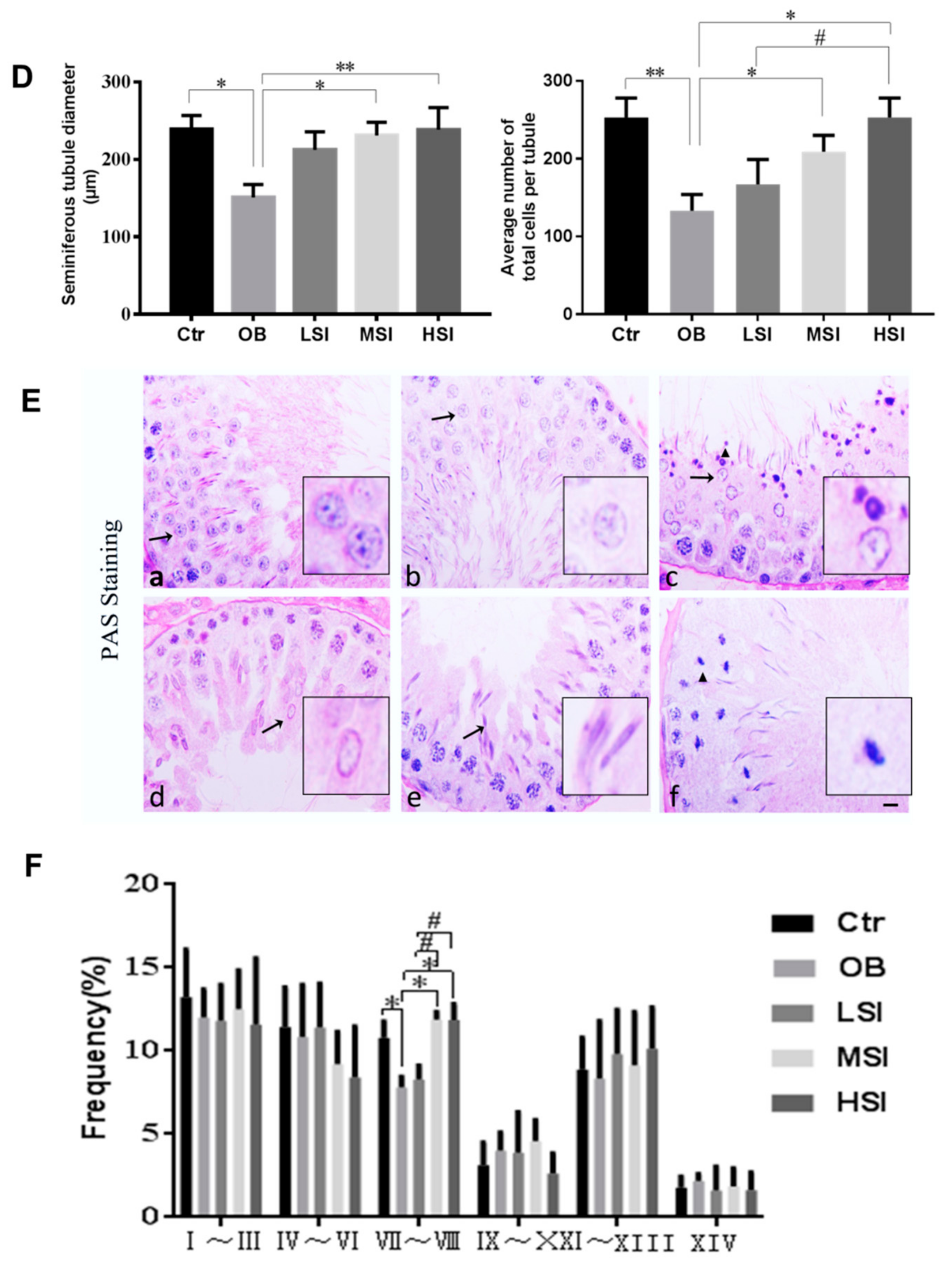 Molecules 24 02966 g001b