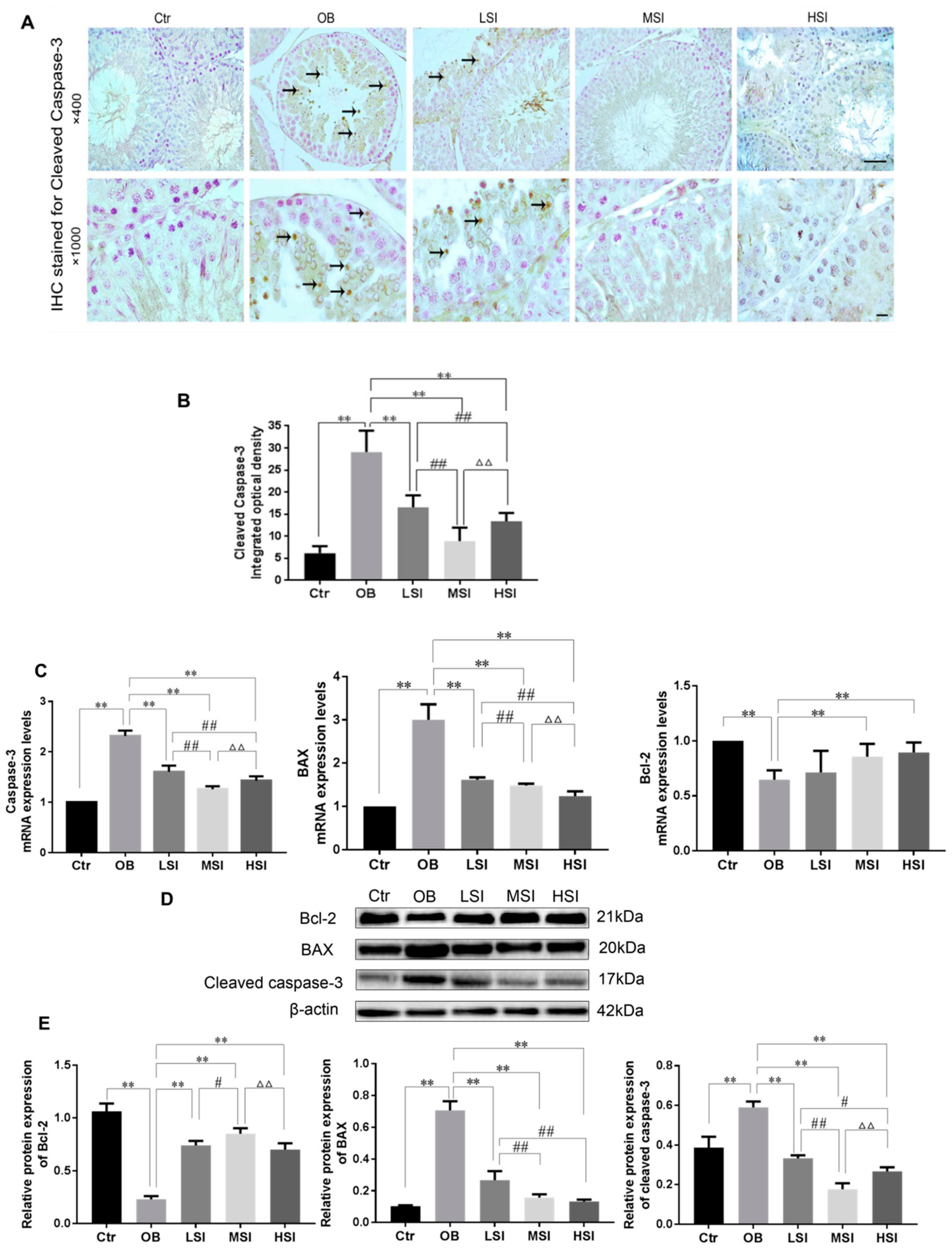 Molecules 24 02966 g006