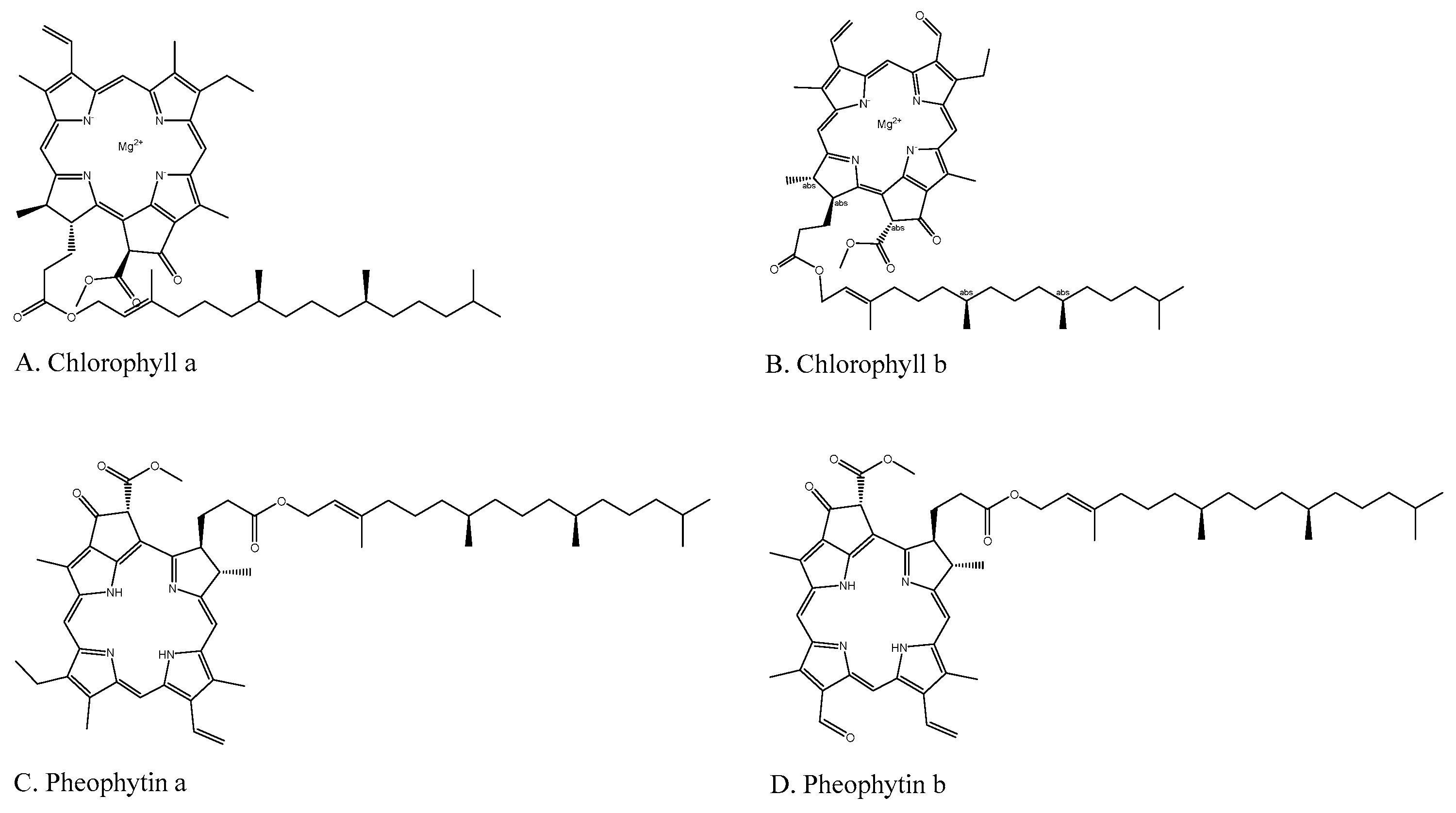 Molecules 24 02968 g004