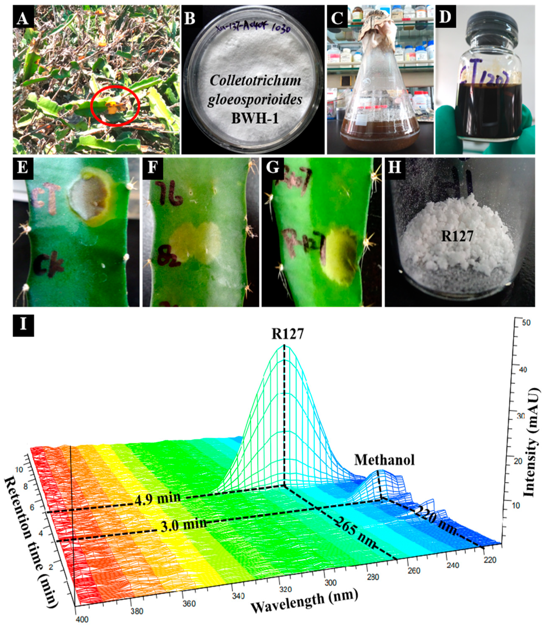Molecules 24 02969 g001