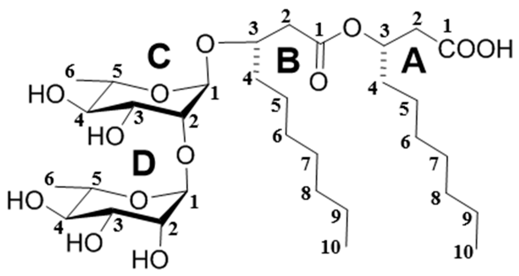 Molecules 24 02969 g002