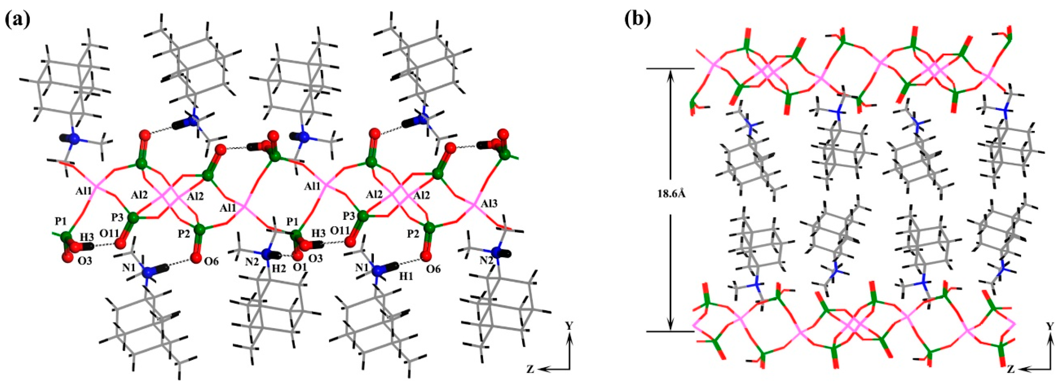 Molecules 24 02972 g004