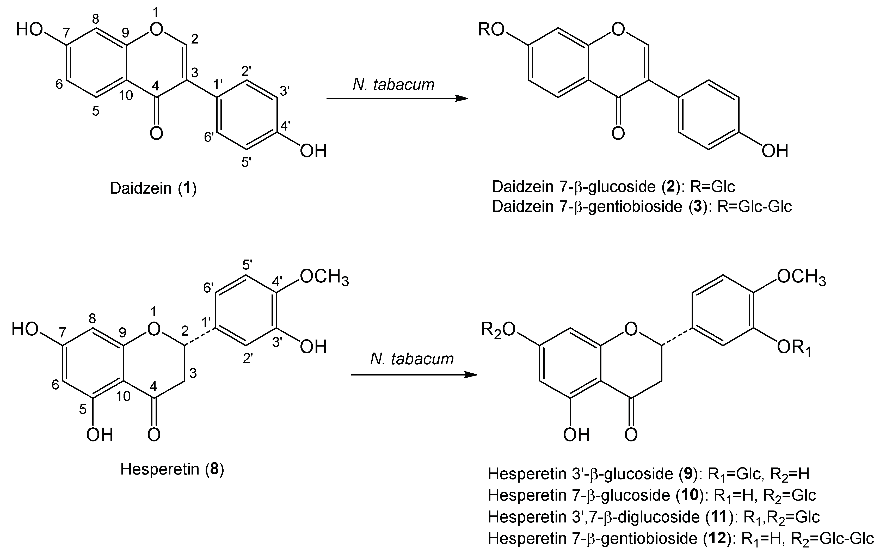 Molecules 24 02975 g002 Molecules 24 02975 g002