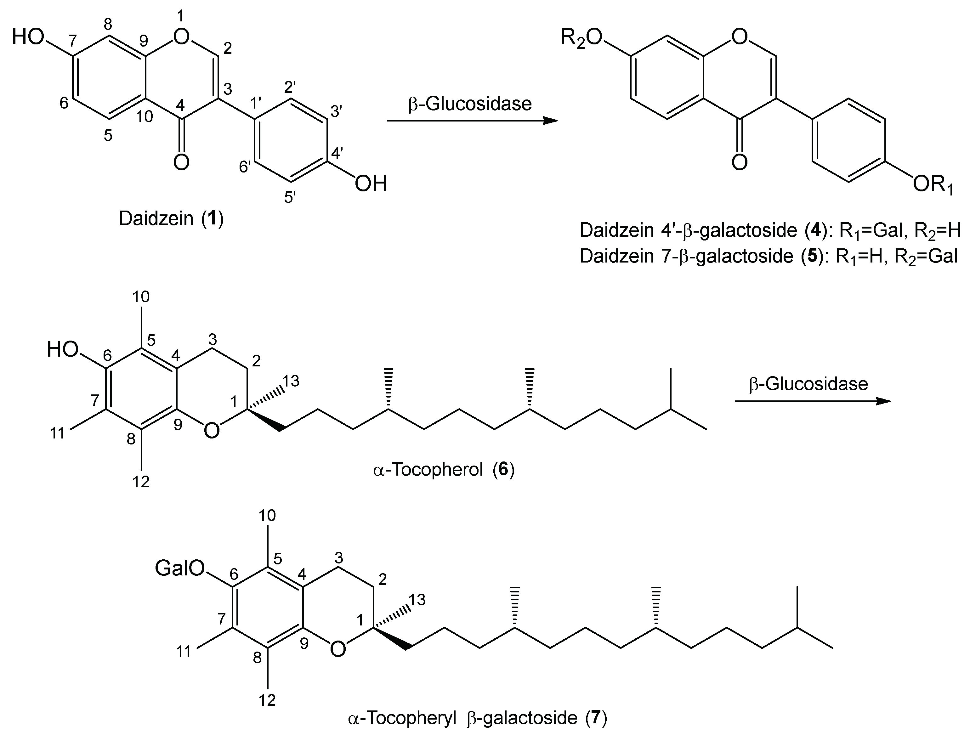 Molecules 24 02975 g003 Molecules 24 02975 g003