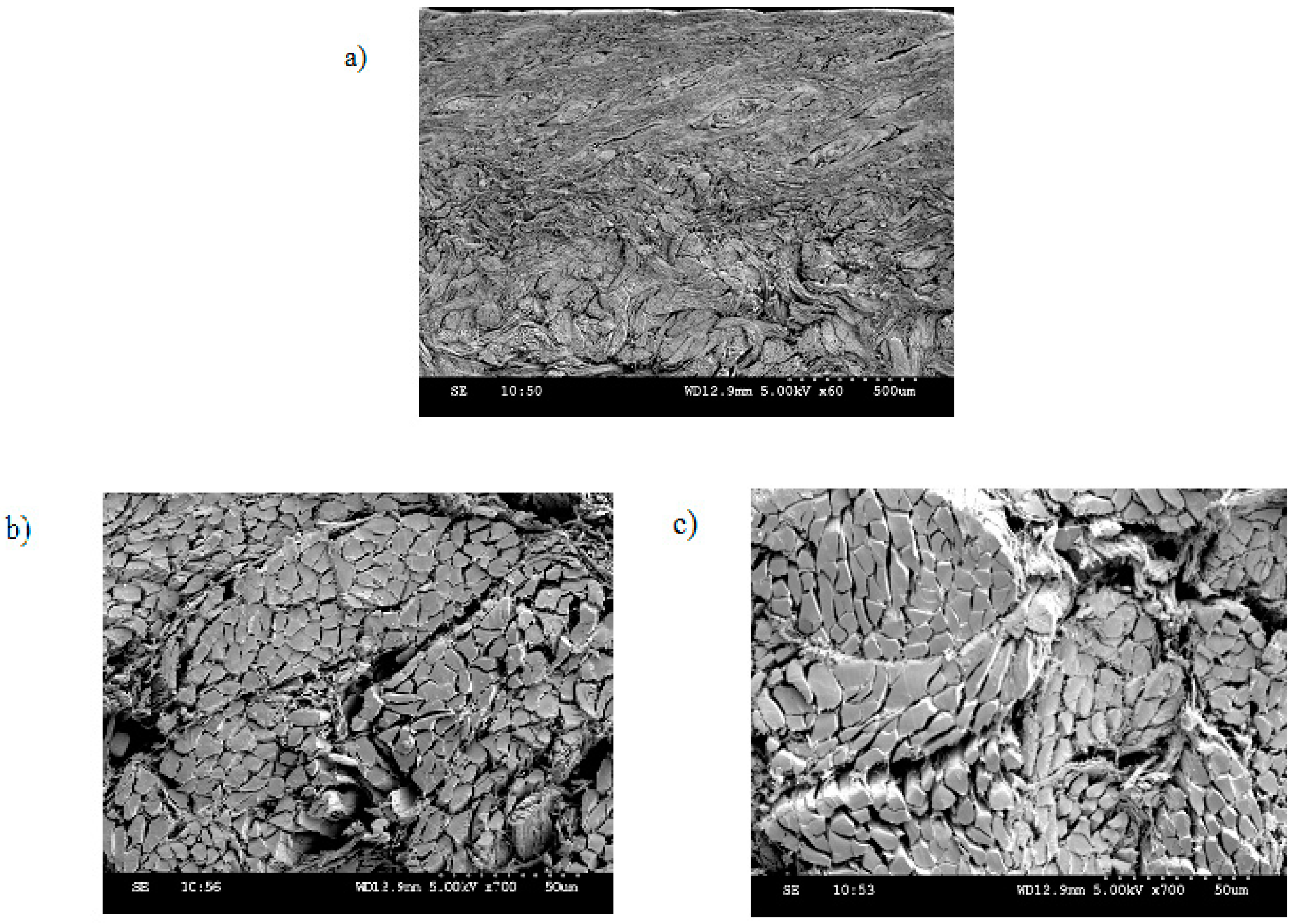 Molecules 24 02979 g005