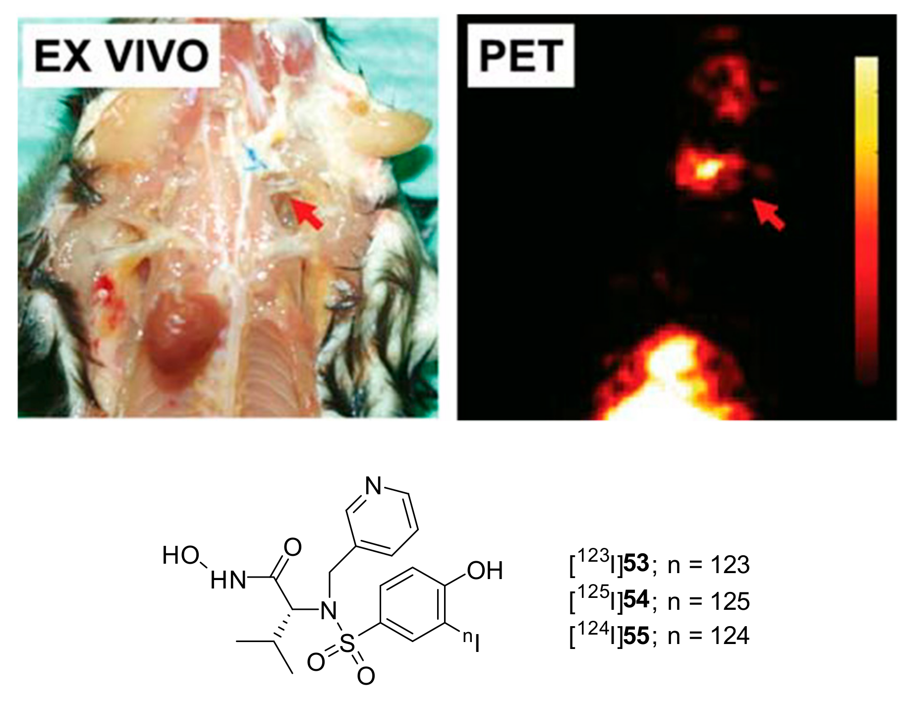 Molecules 24 02982 g004 Molecules 24 02982 g004