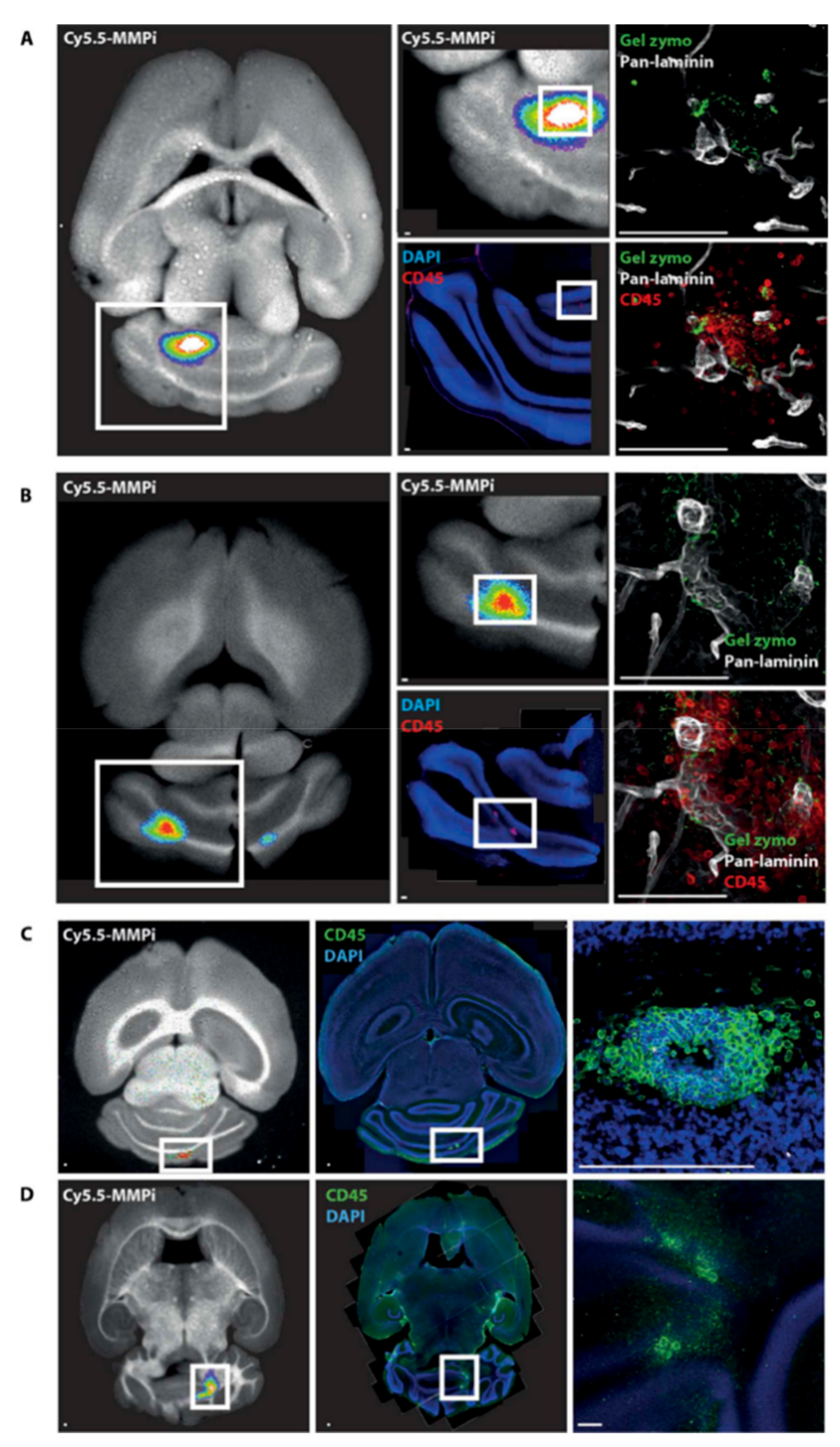 Molecules 24 02982 g008 Molecules 24 02982 g008