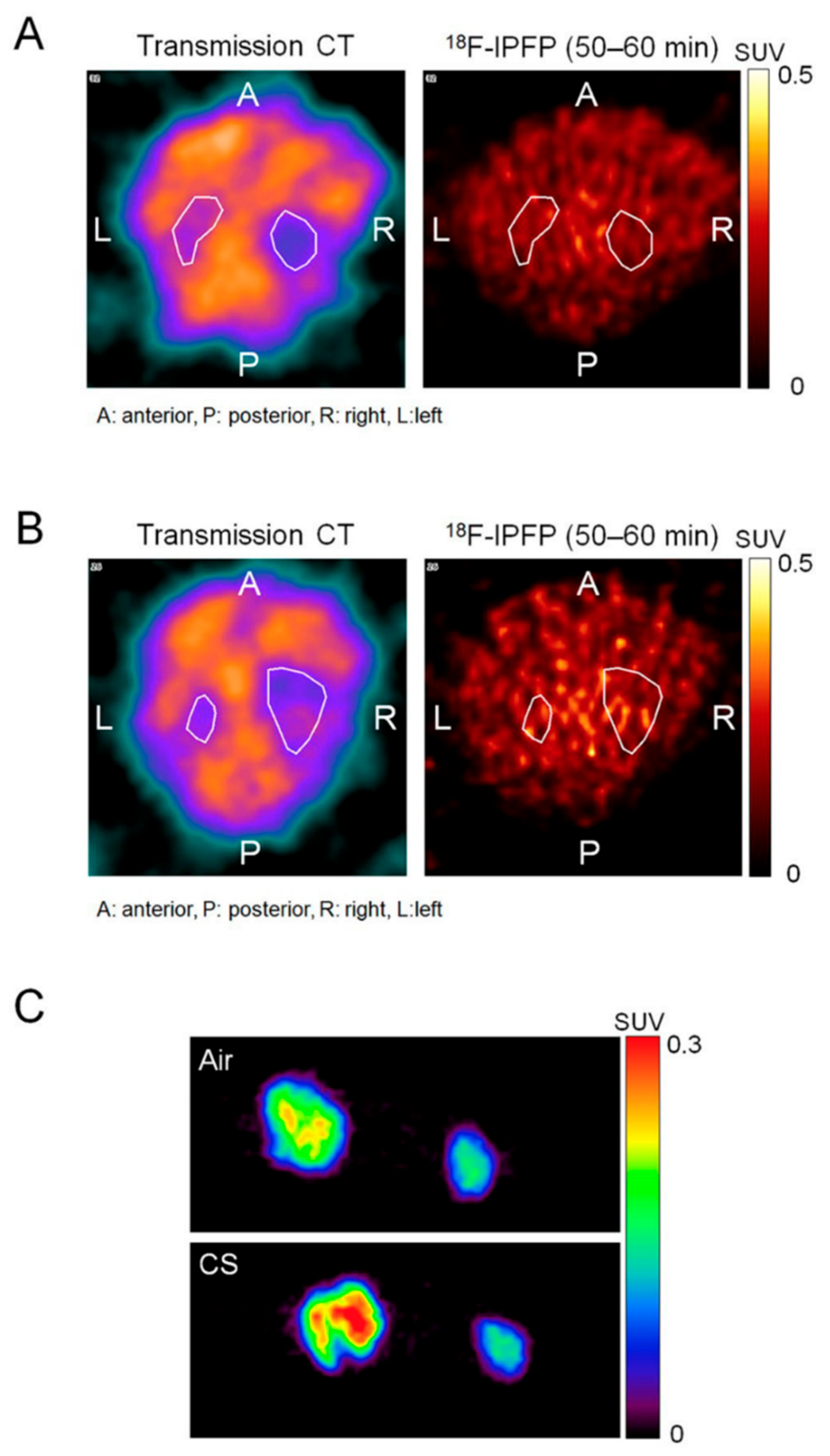 Molecules 24 02982 g011 Molecules 24 02982 g011