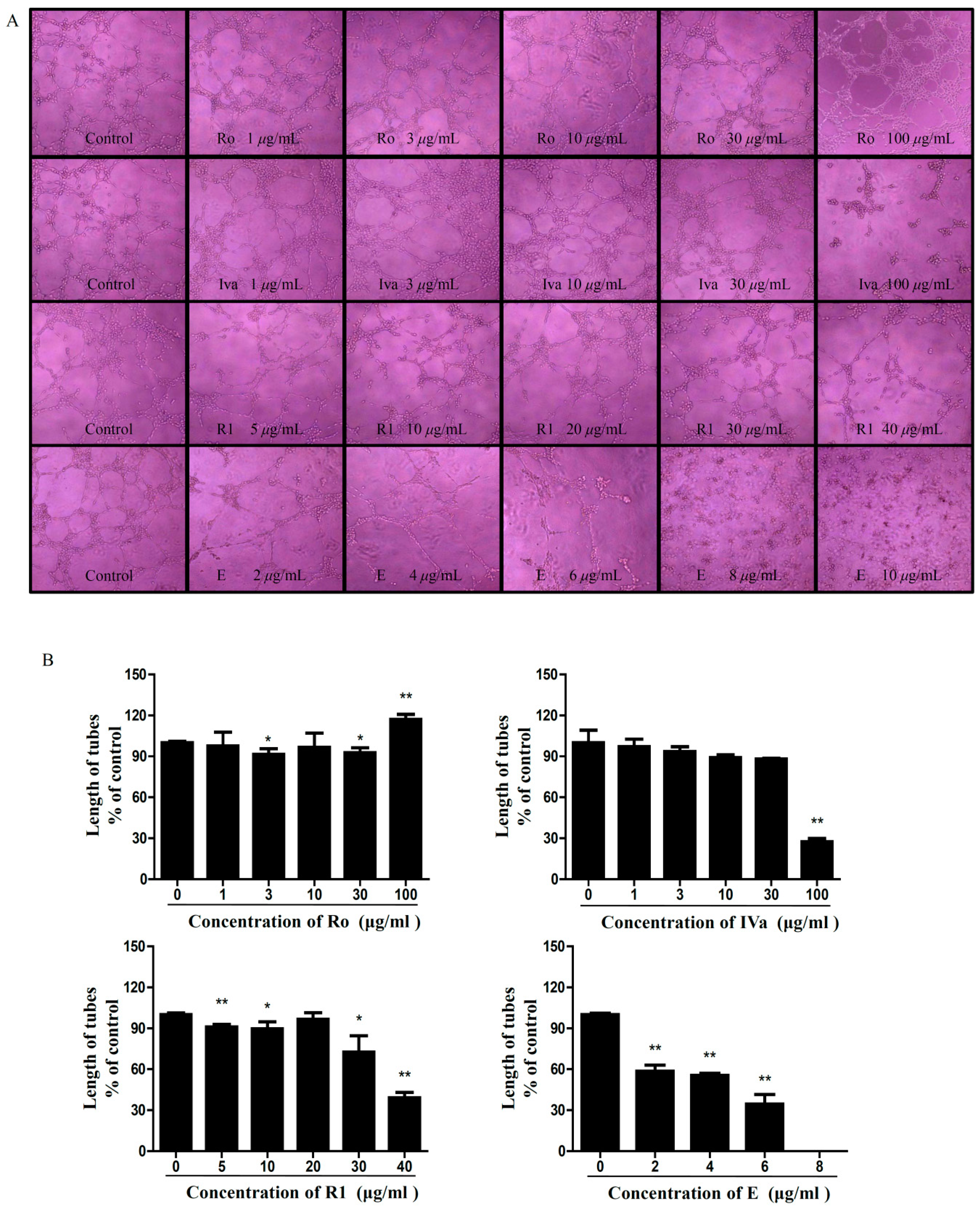 Molecules 24 02985 g008