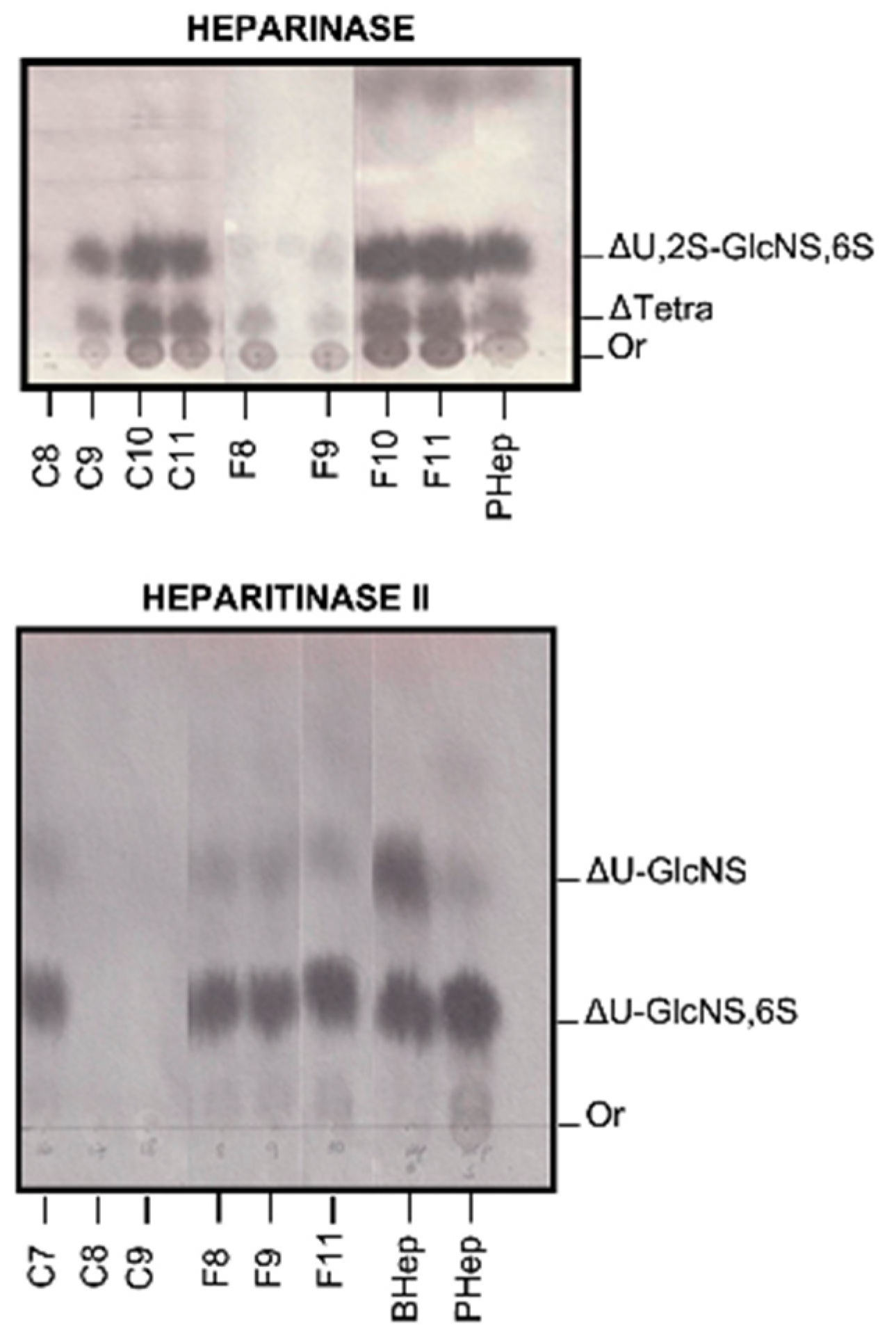 Molecules 24 02988 g003
