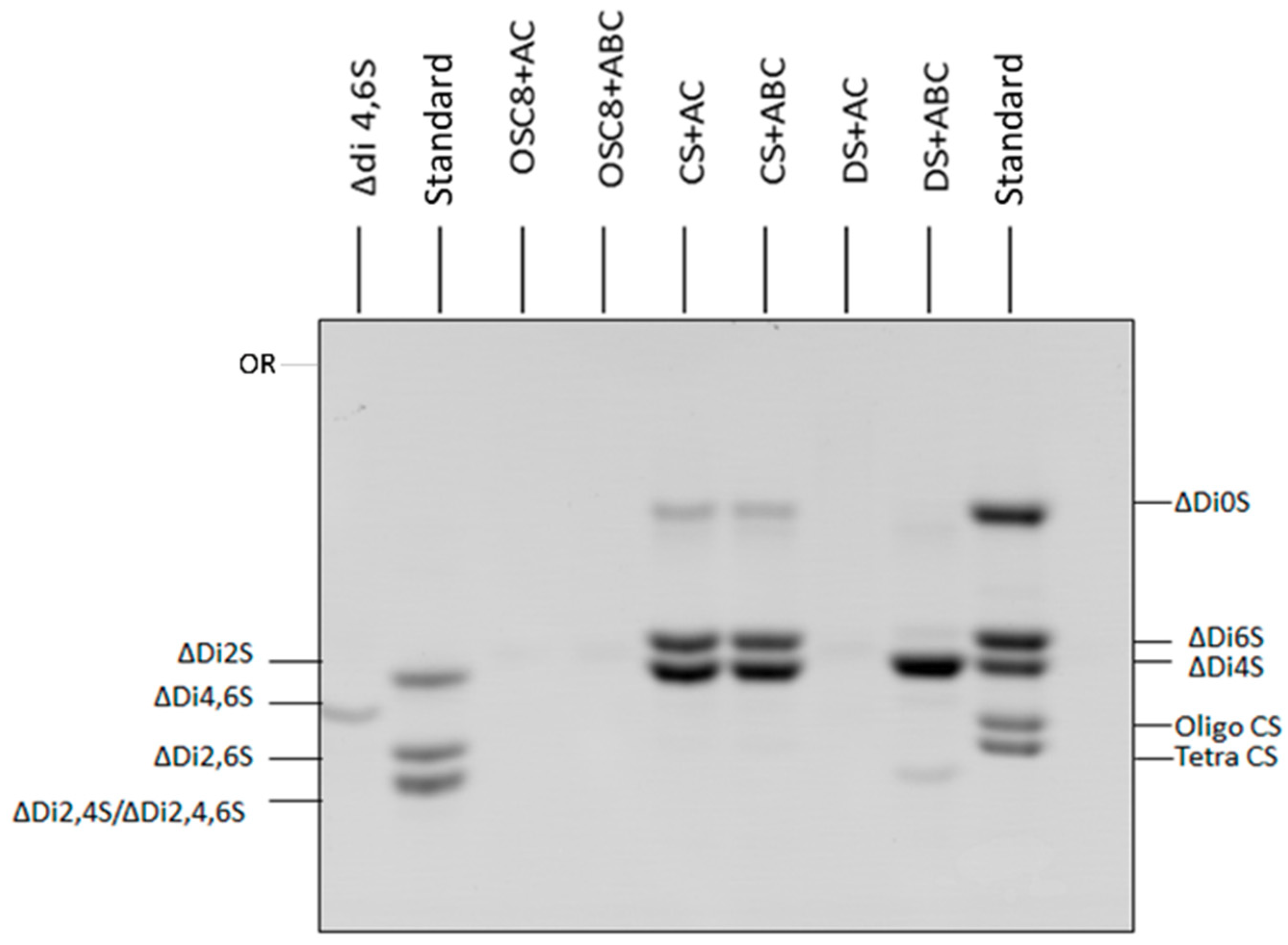 Molecules 24 02988 g008