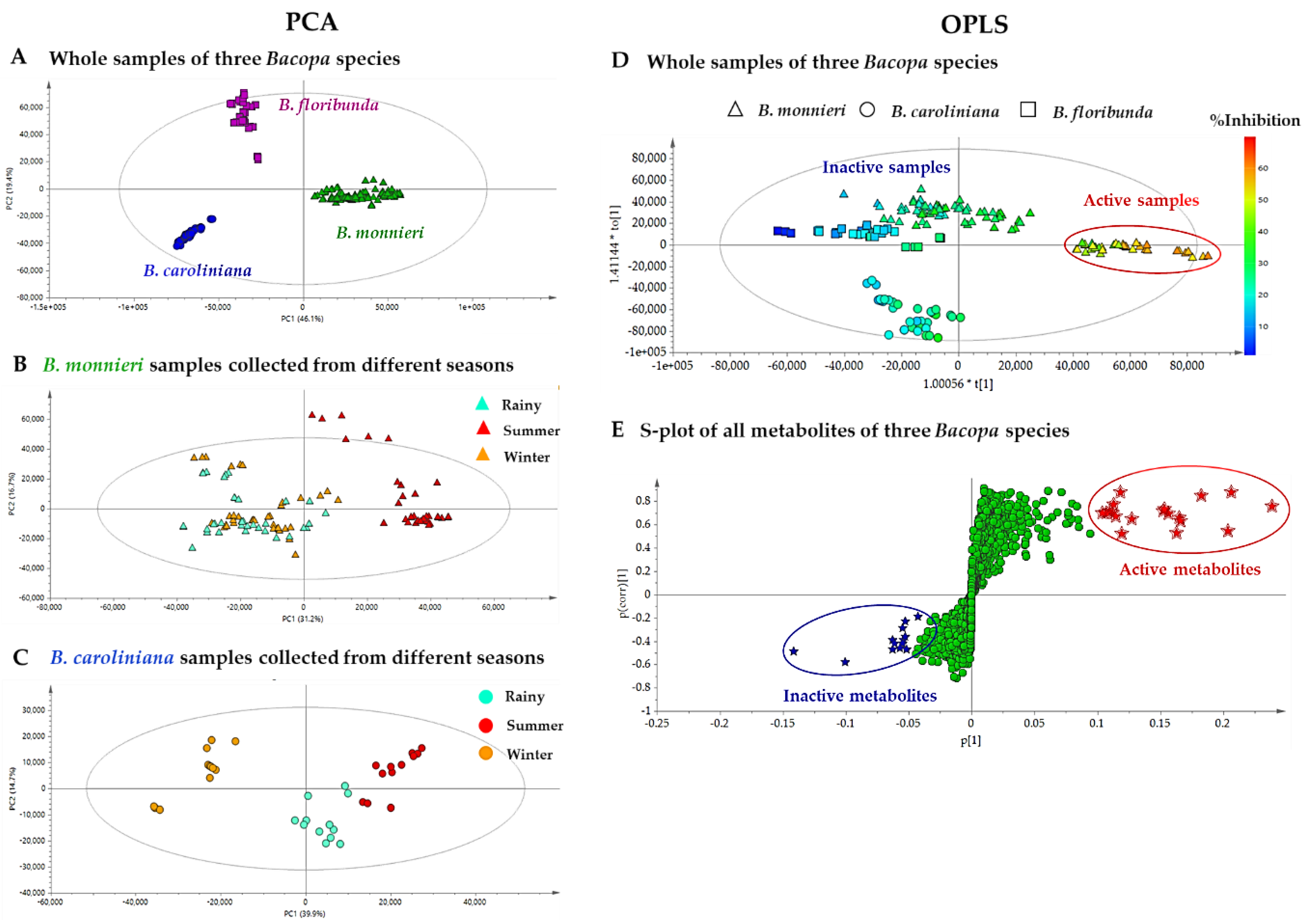 Molecules 24 02989 g003