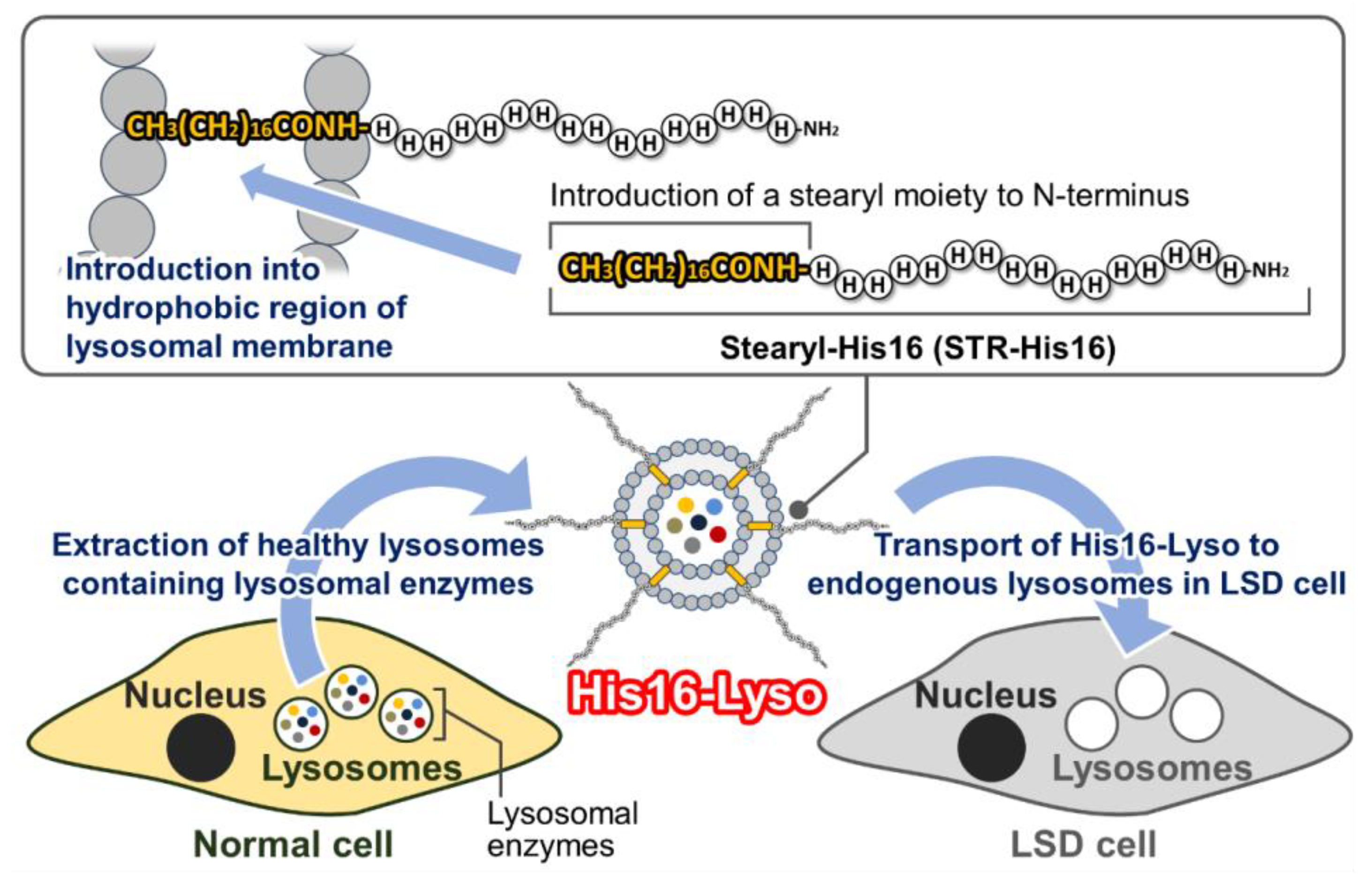 Molecules 24 02995 g001
