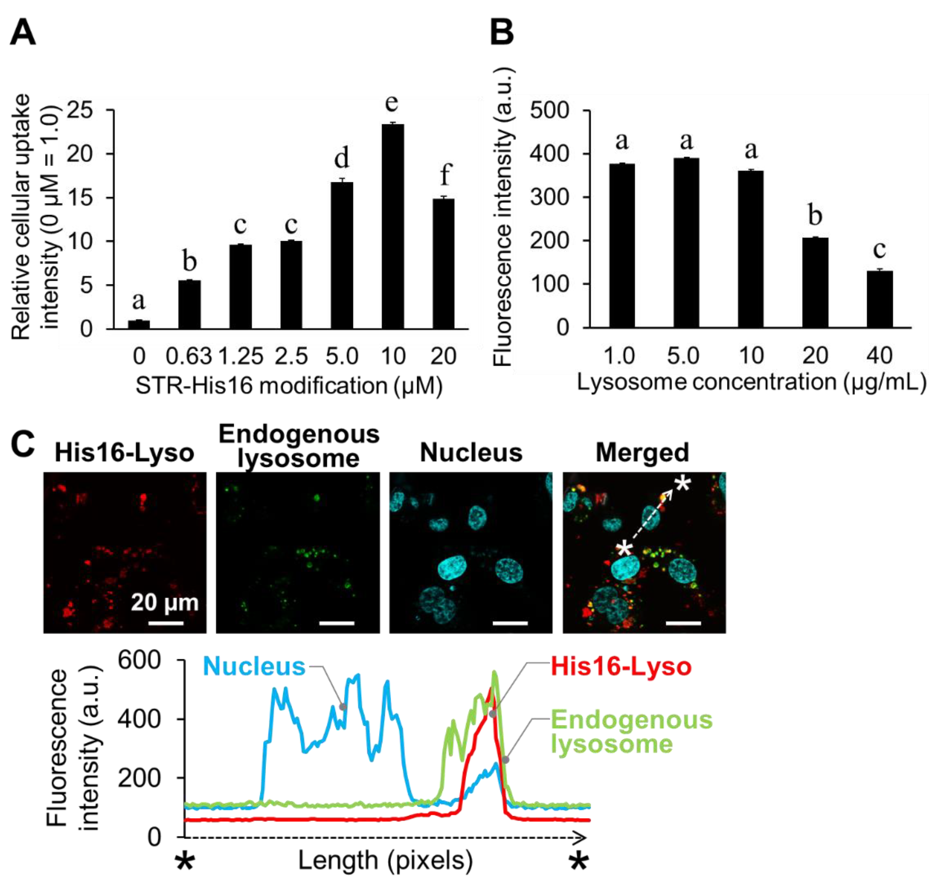 Molecules 24 02995 g003