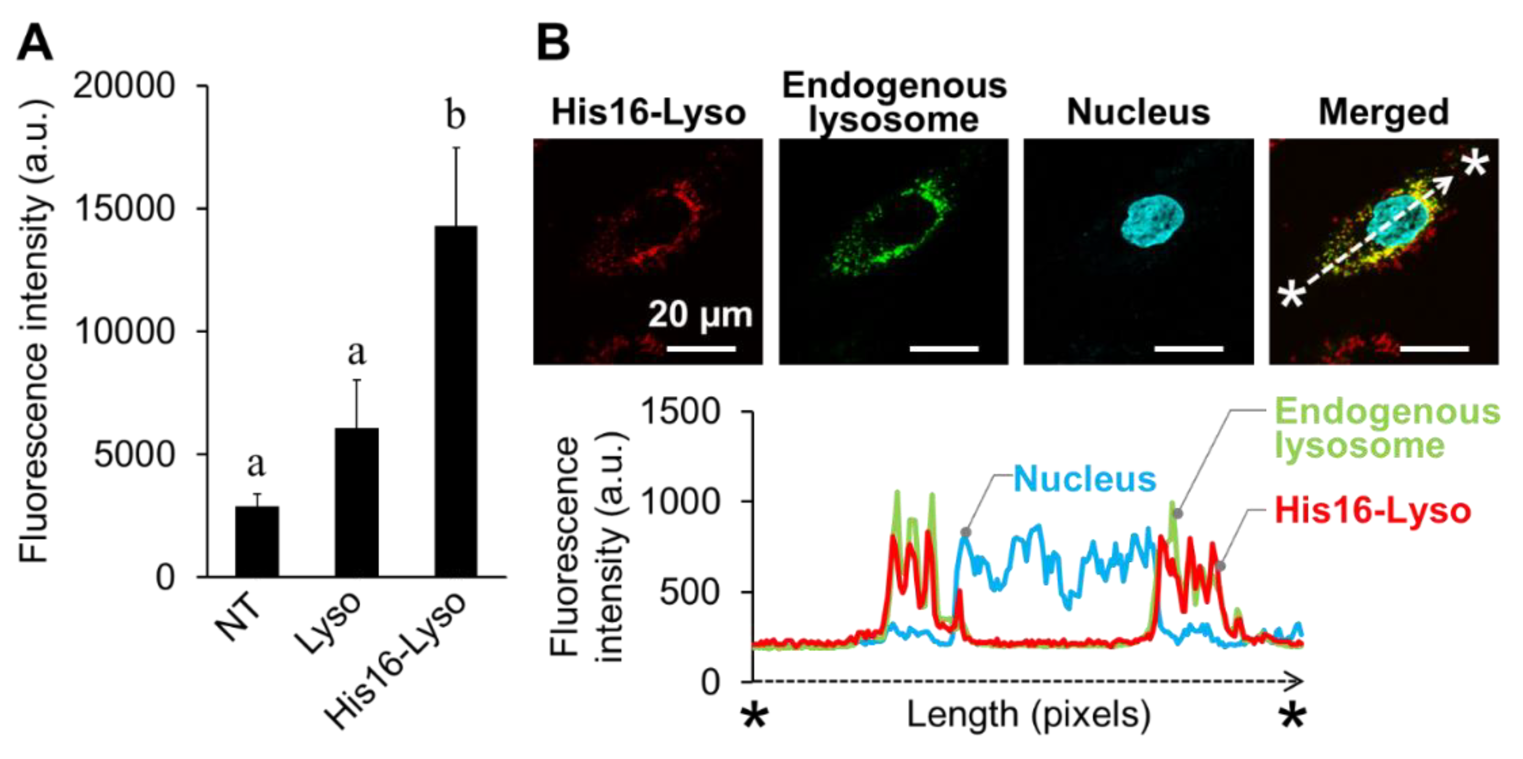Molecules 24 02995 g005