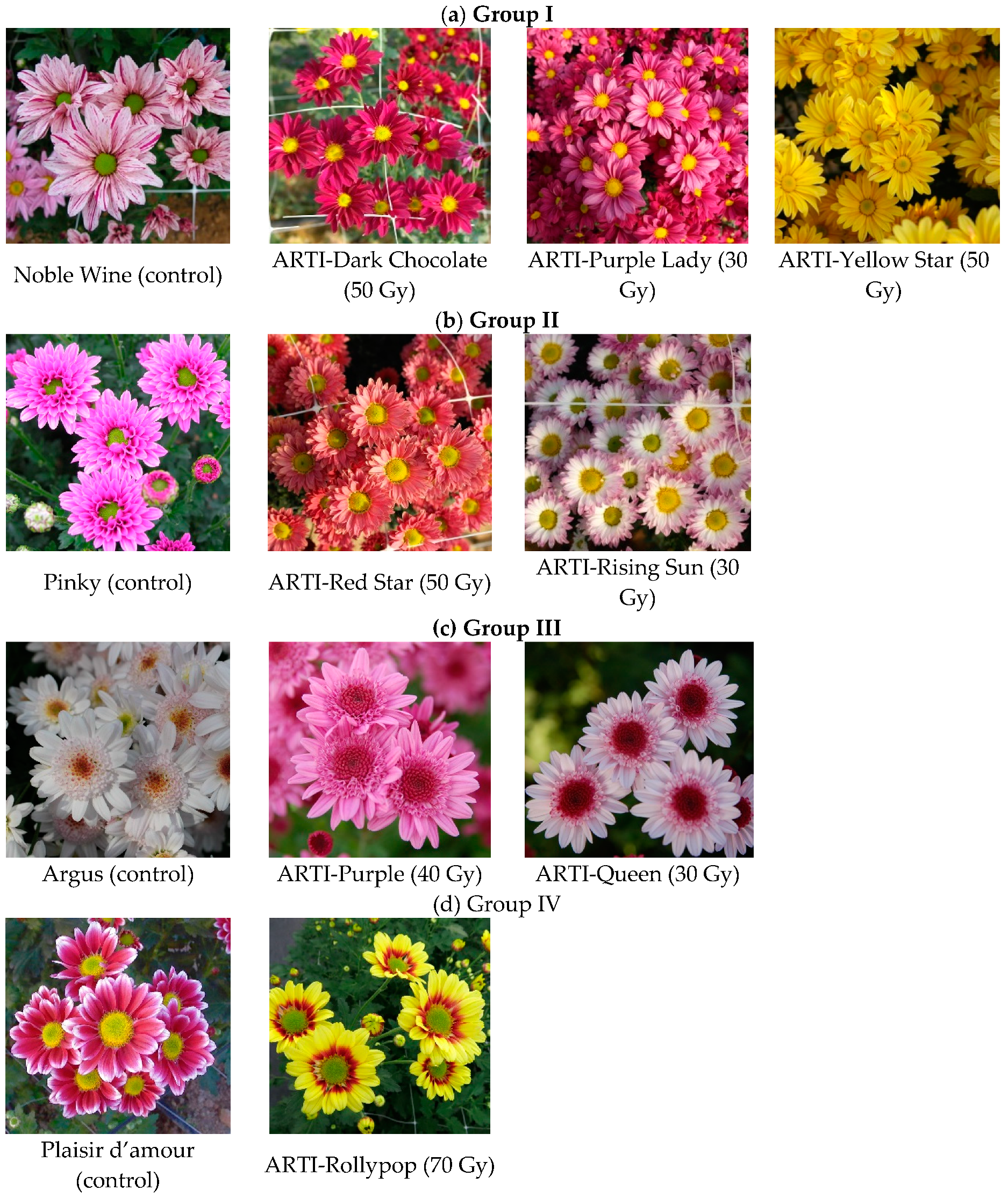 Molecules 24 03003 g001