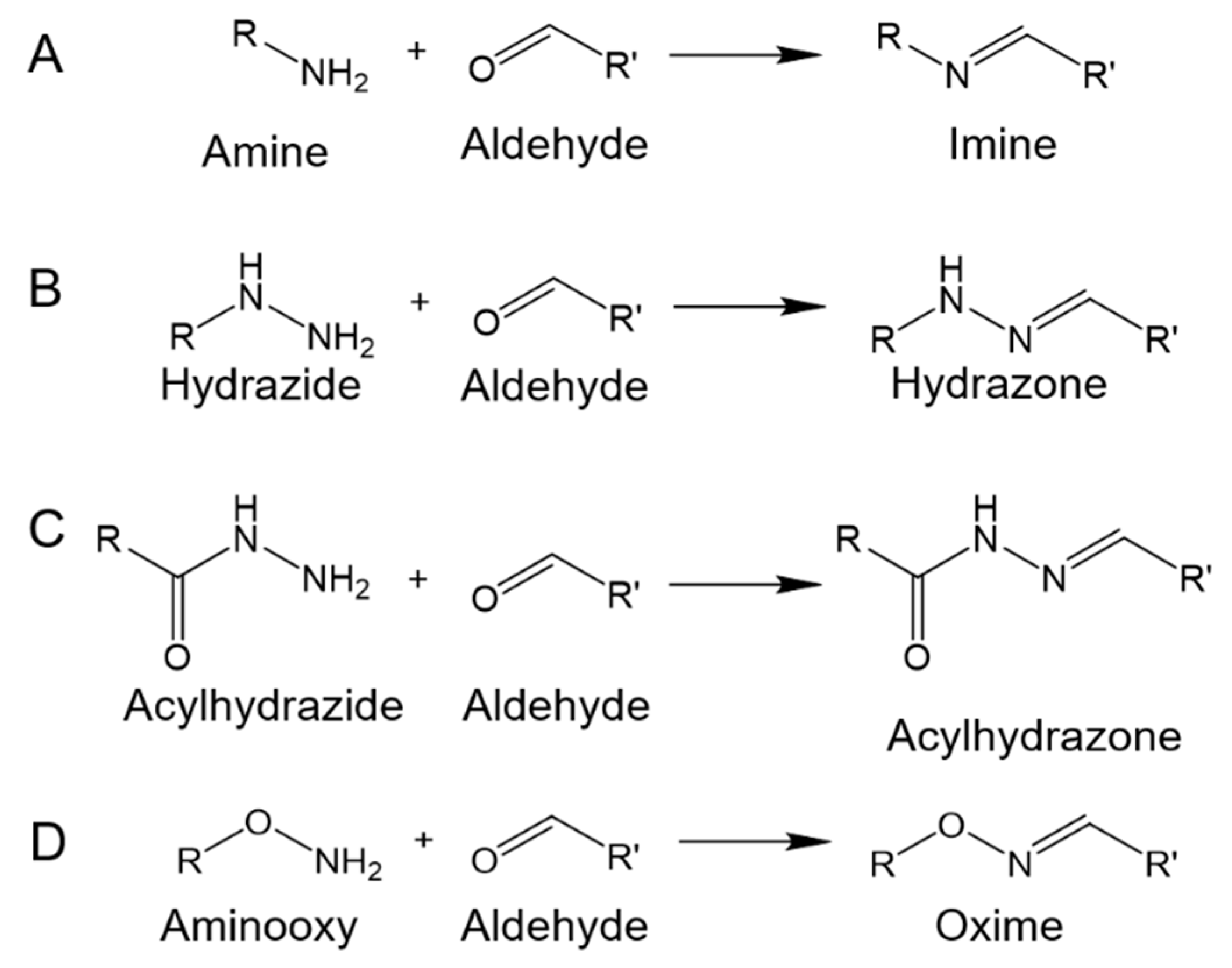 Molecules 24 03005 g003