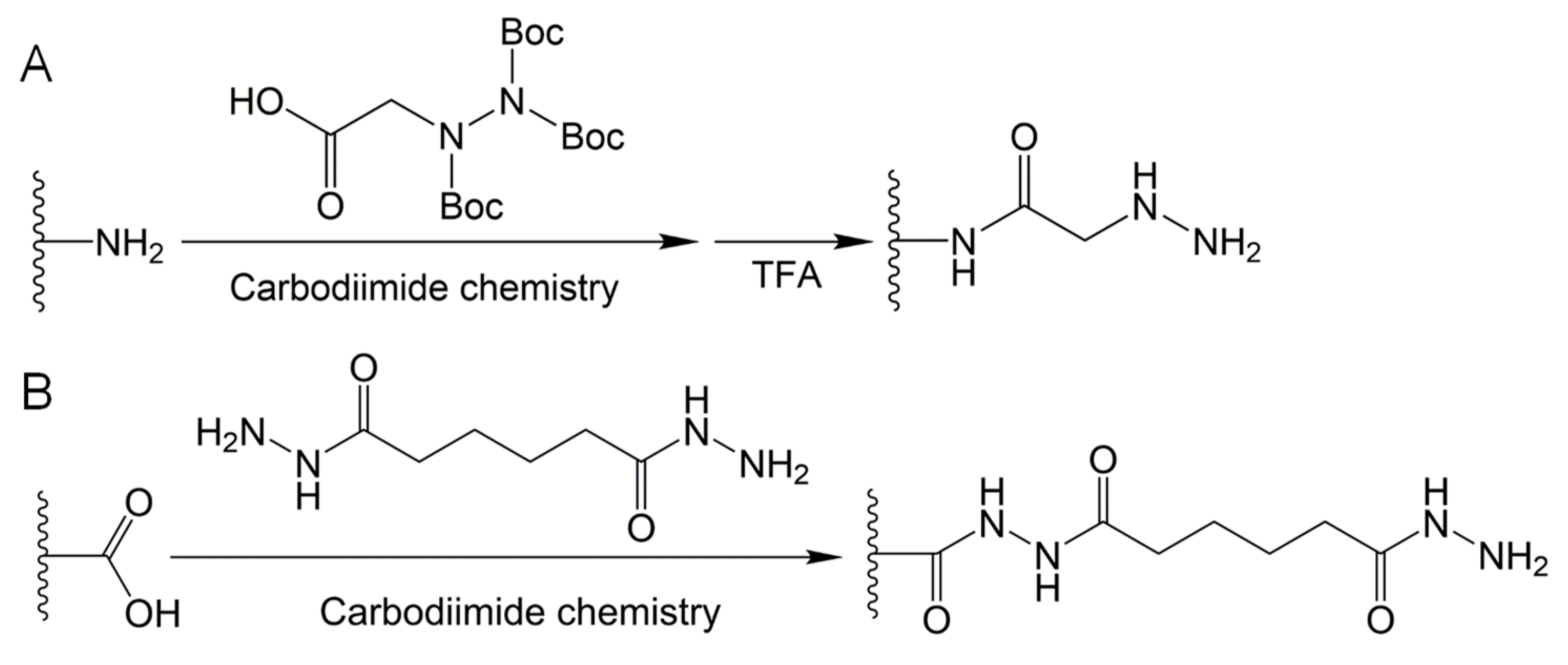 Molecules 24 03005 g004