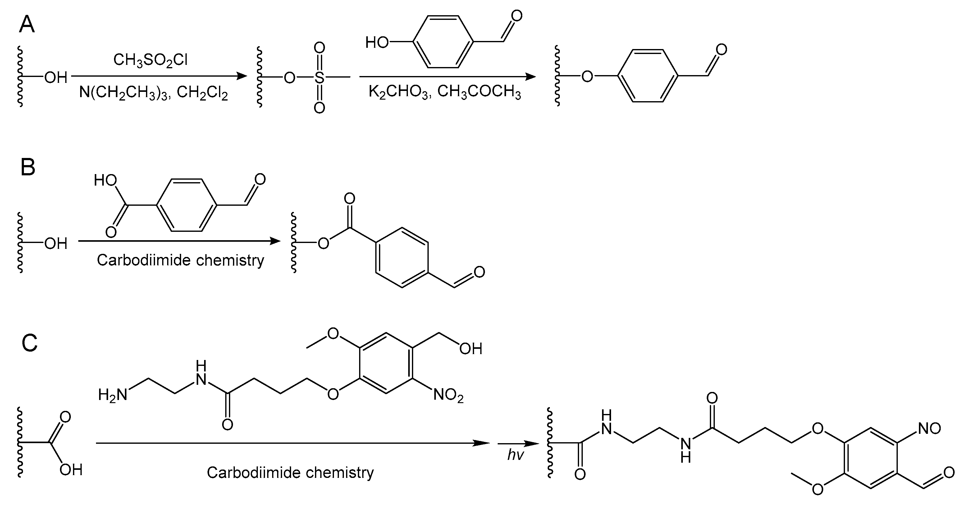 Molecules 24 03005 g006