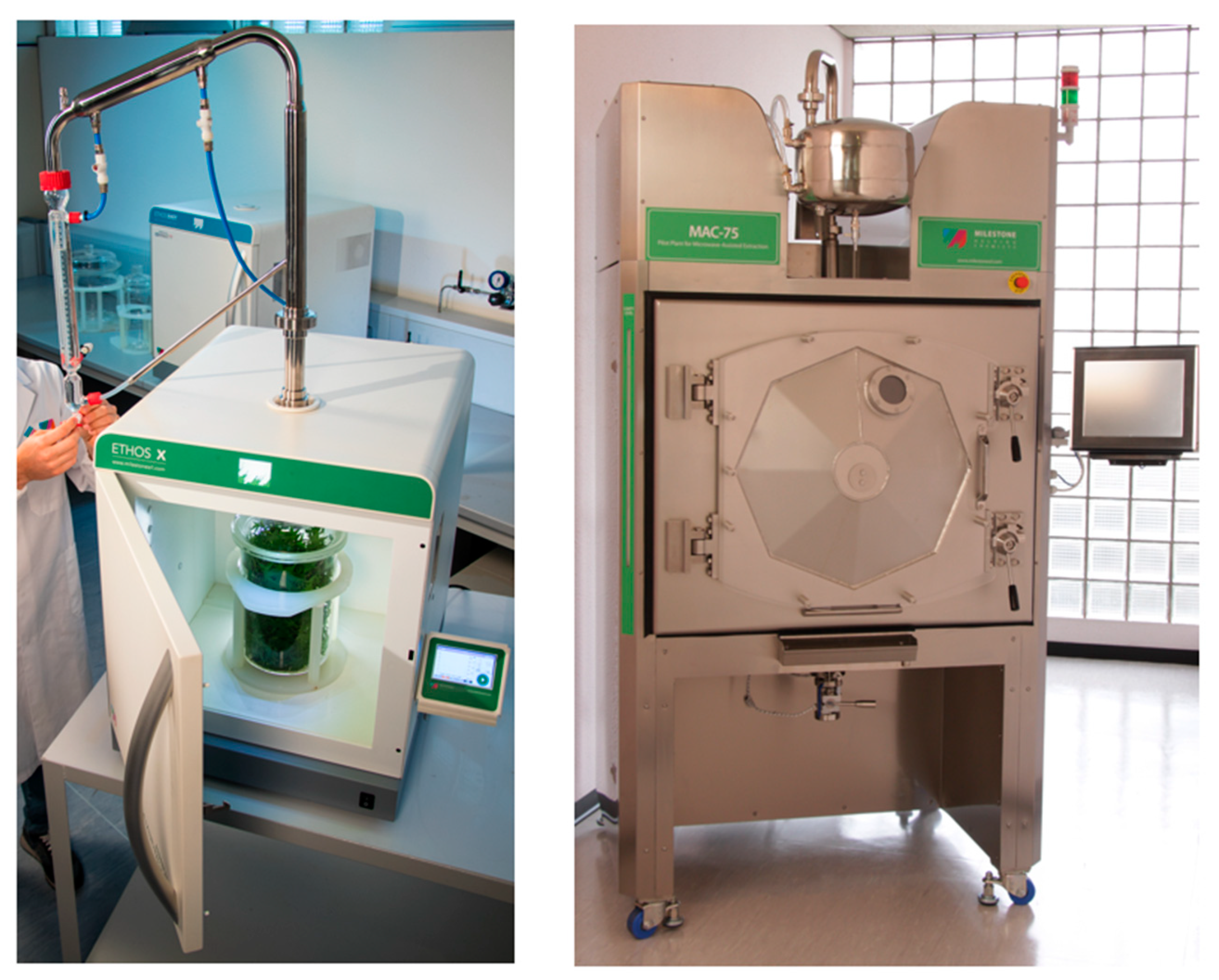 Molecules 24 03007 g001