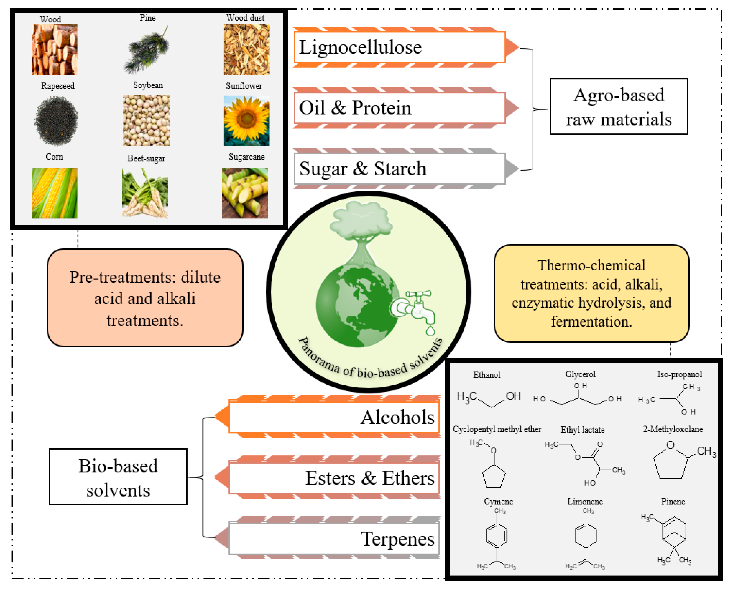 Molecules 24 03007 g004
