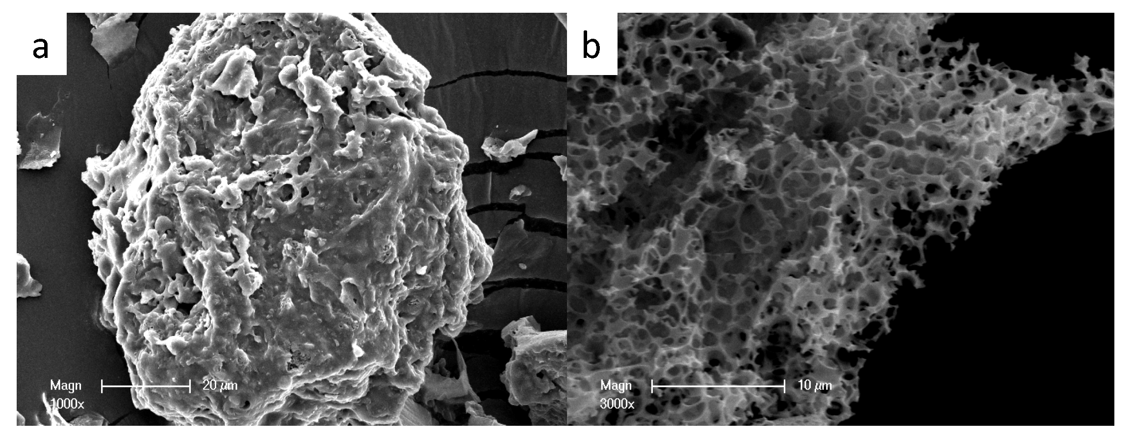 Molecules 24 03012 g001