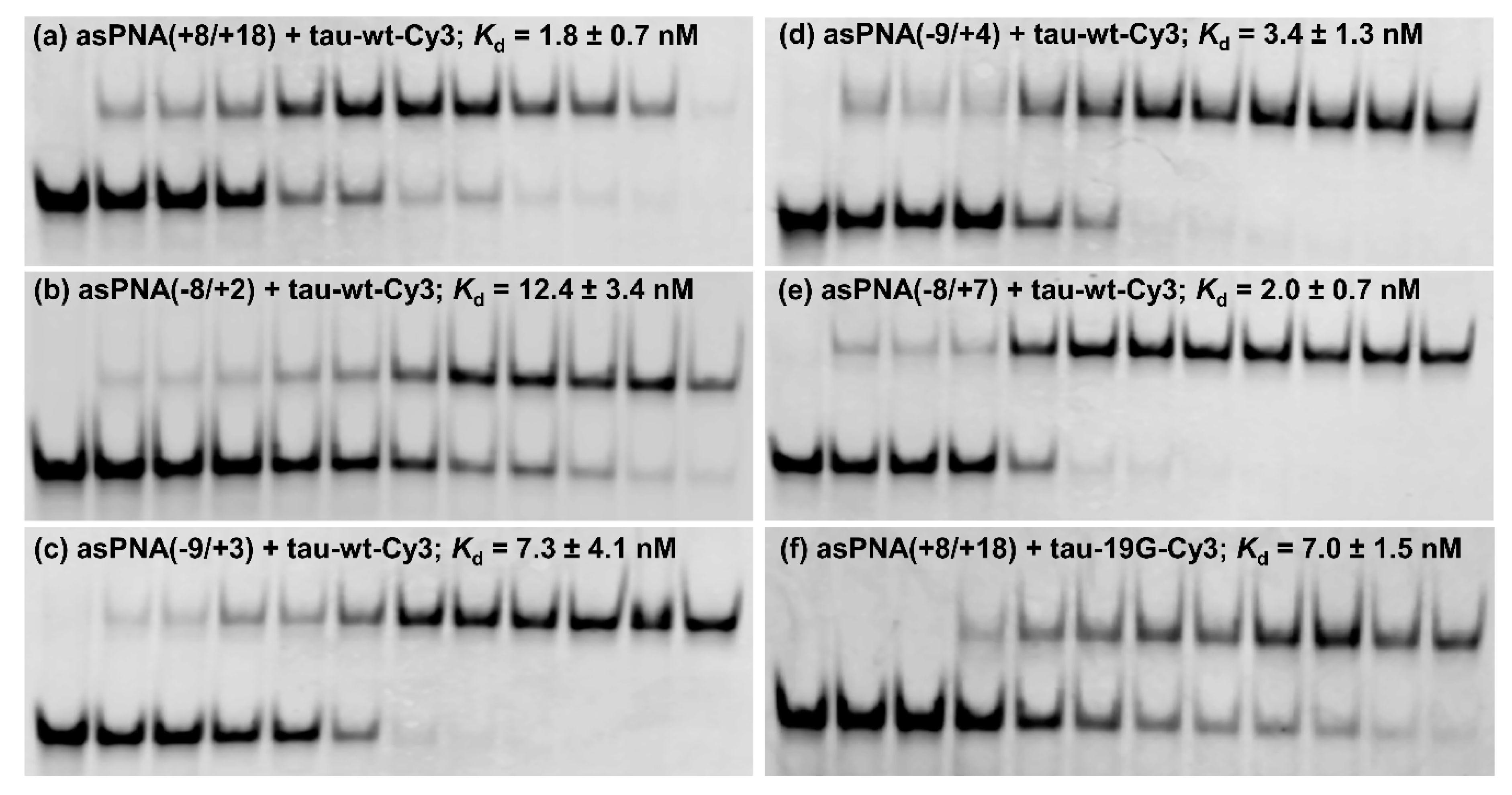 Molecules 24 03020 g003 Molecules 24 03020 g003