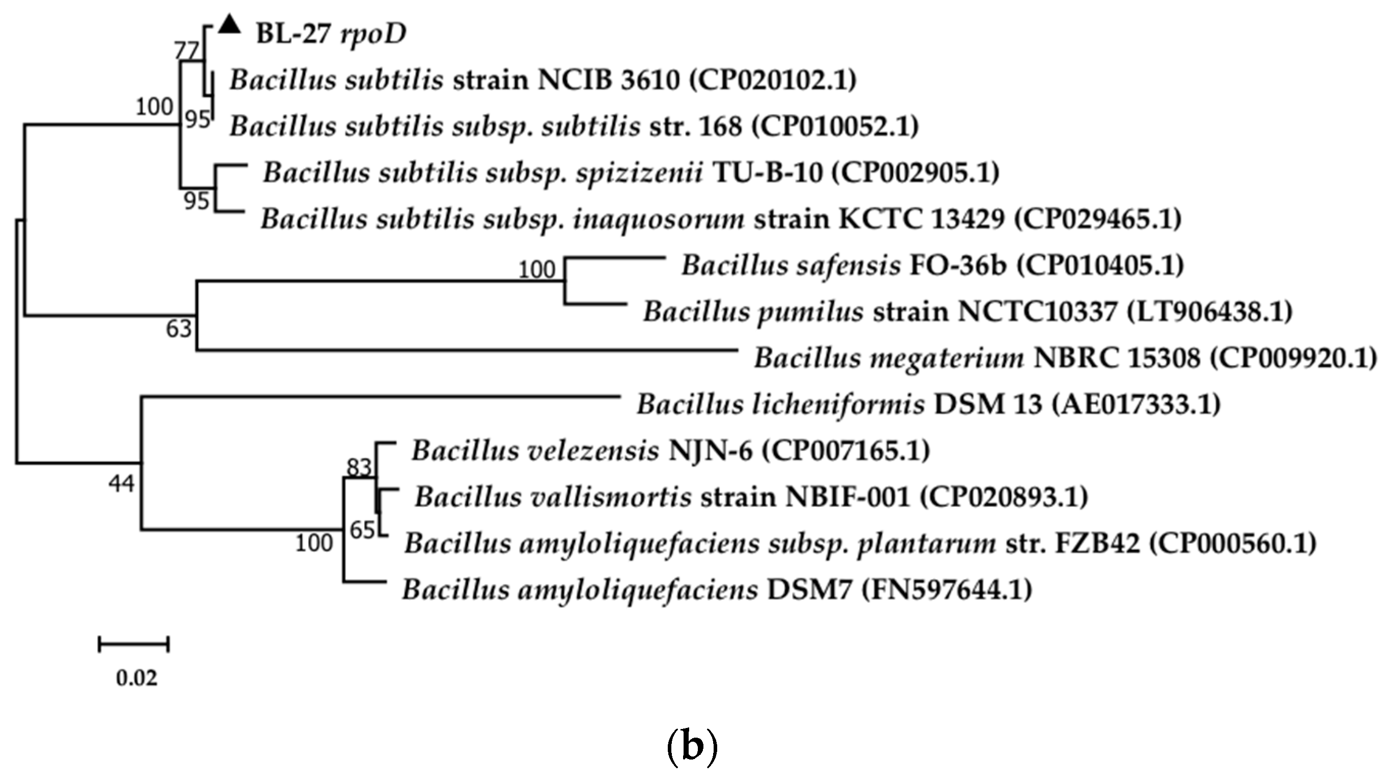 Molecules 24 03021 g001b