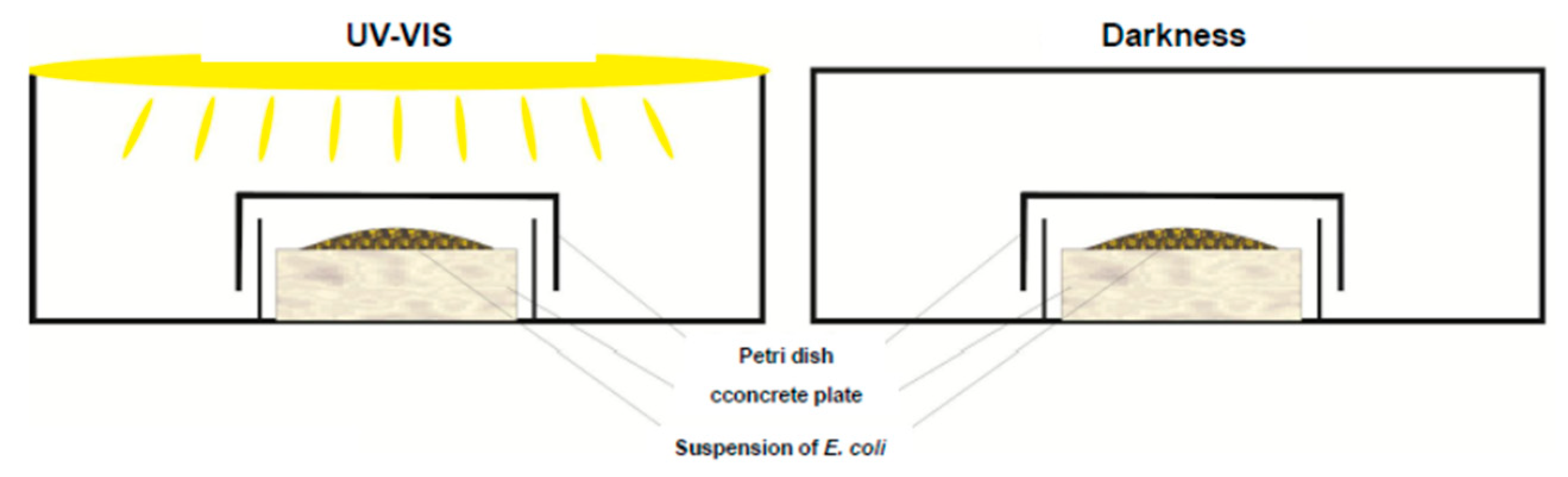 Molecules 24 03026 g005