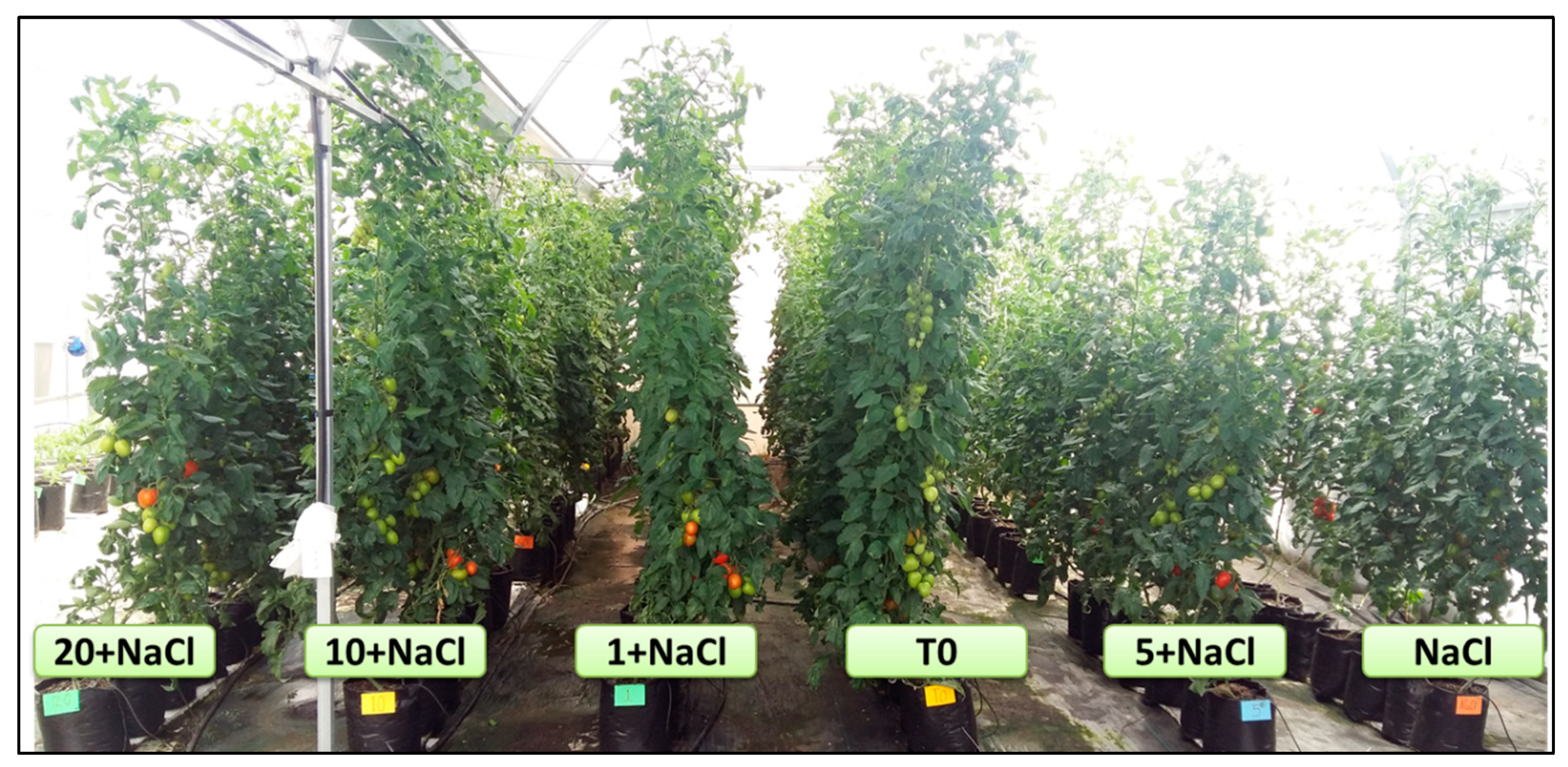 Molecules 24 03030 g001