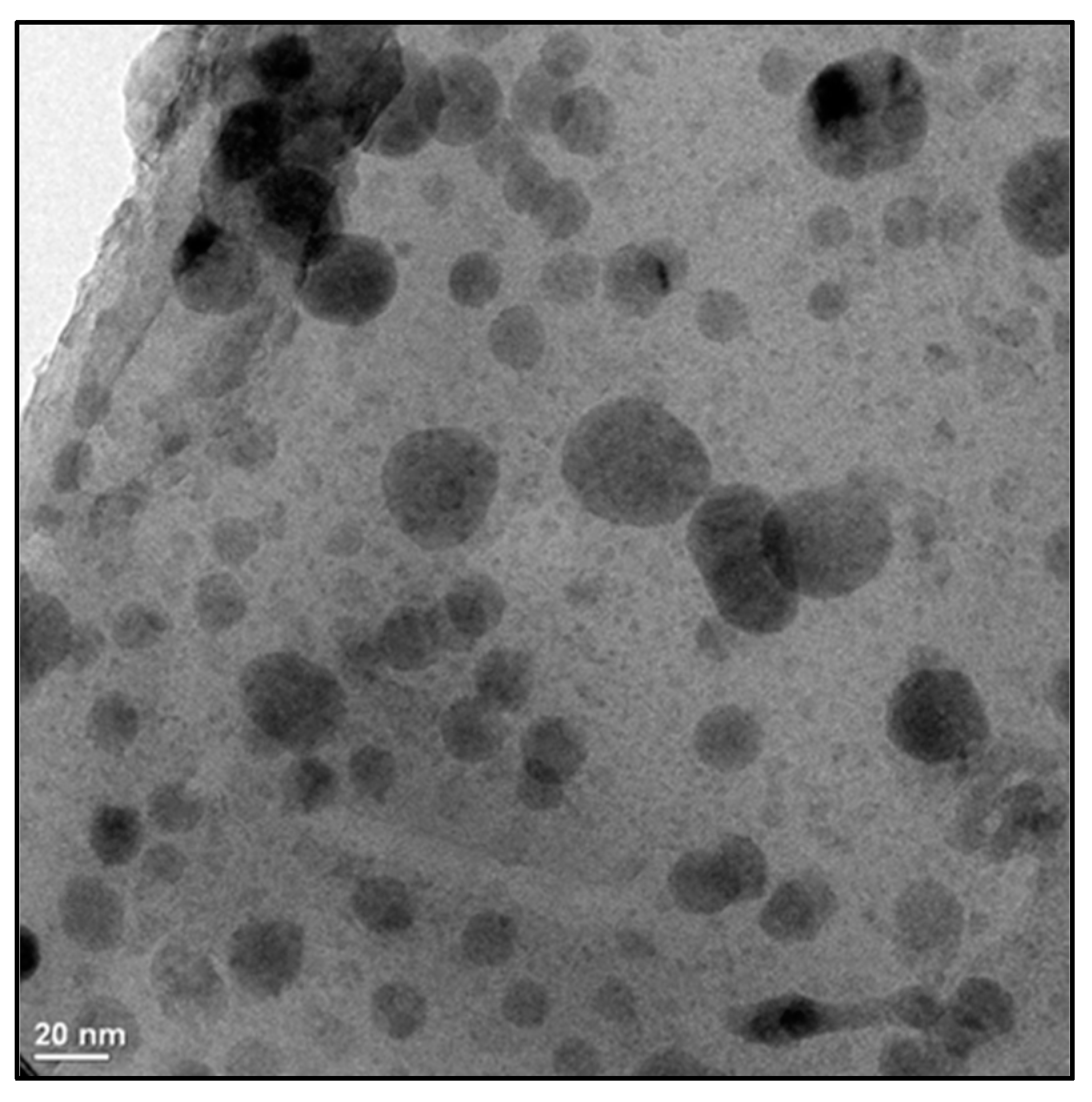 Molecules 24 03030 g008