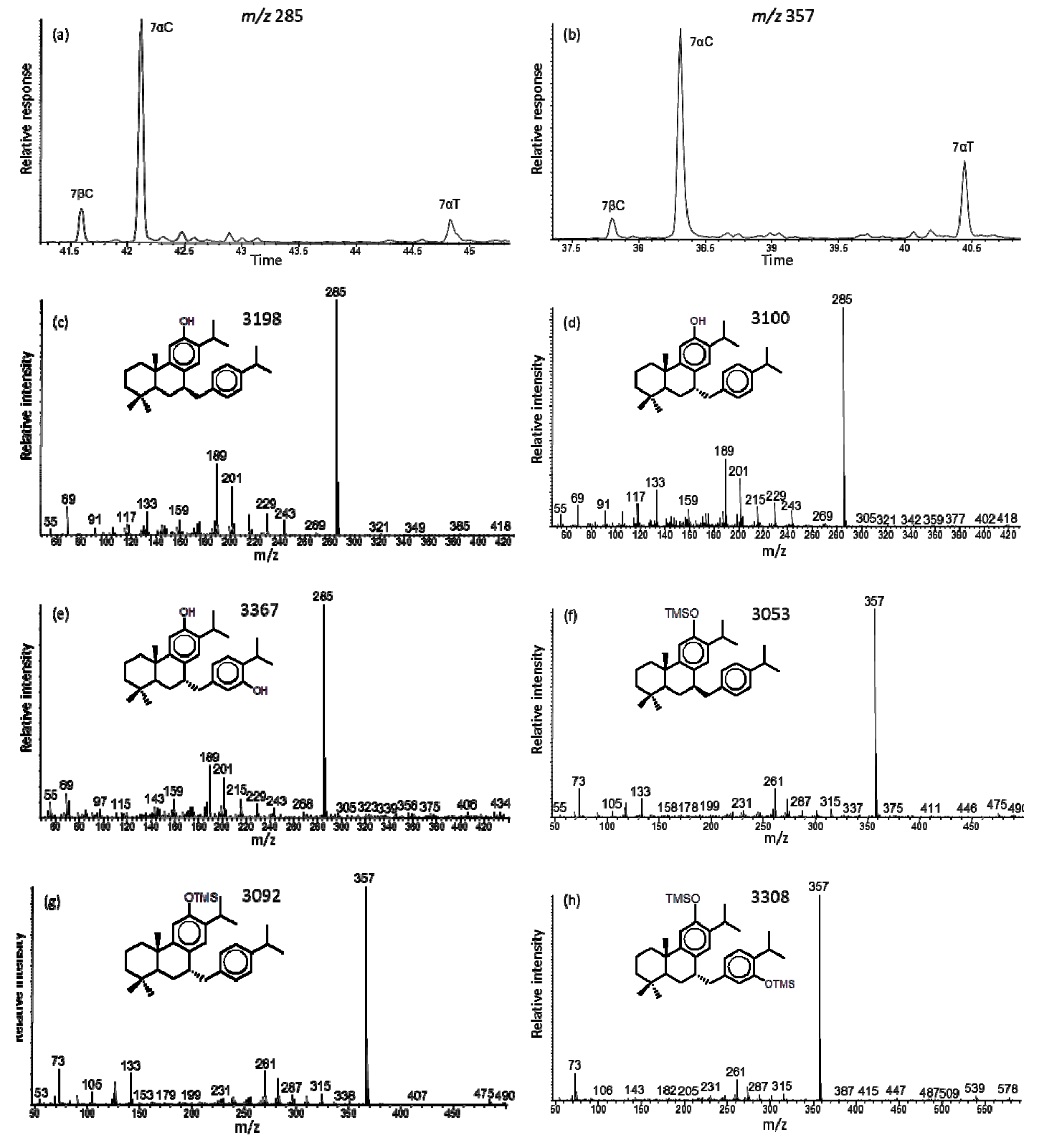 Molecules 24 03036 g004