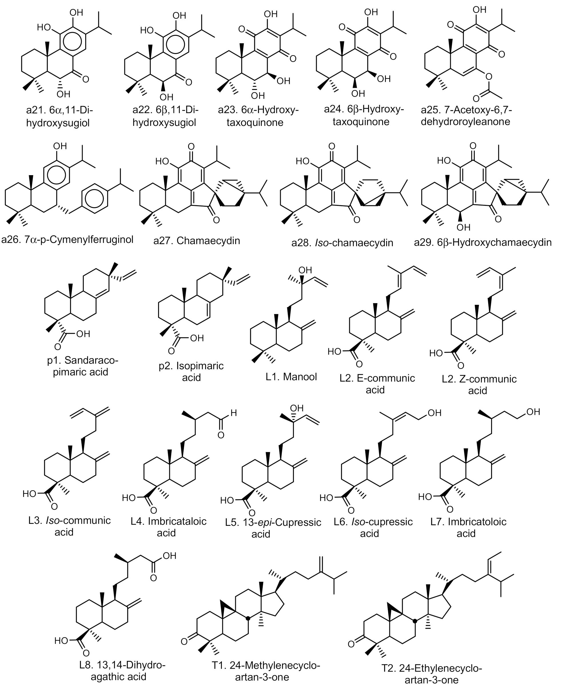 Molecules 24 03036 i002