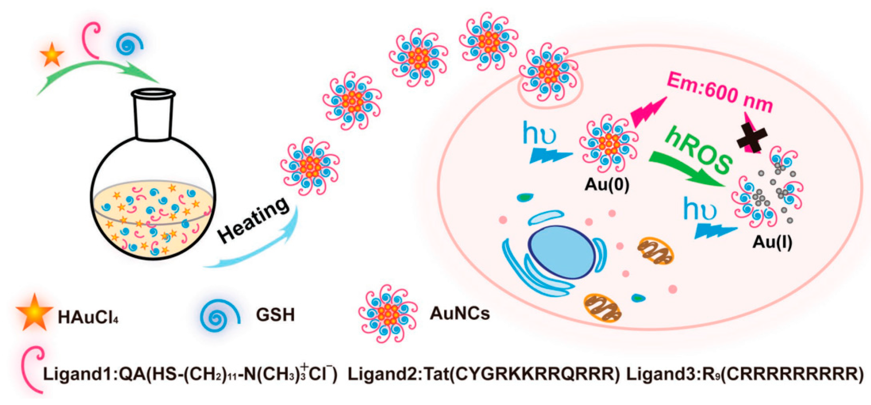 Molecules 24 03045 g004