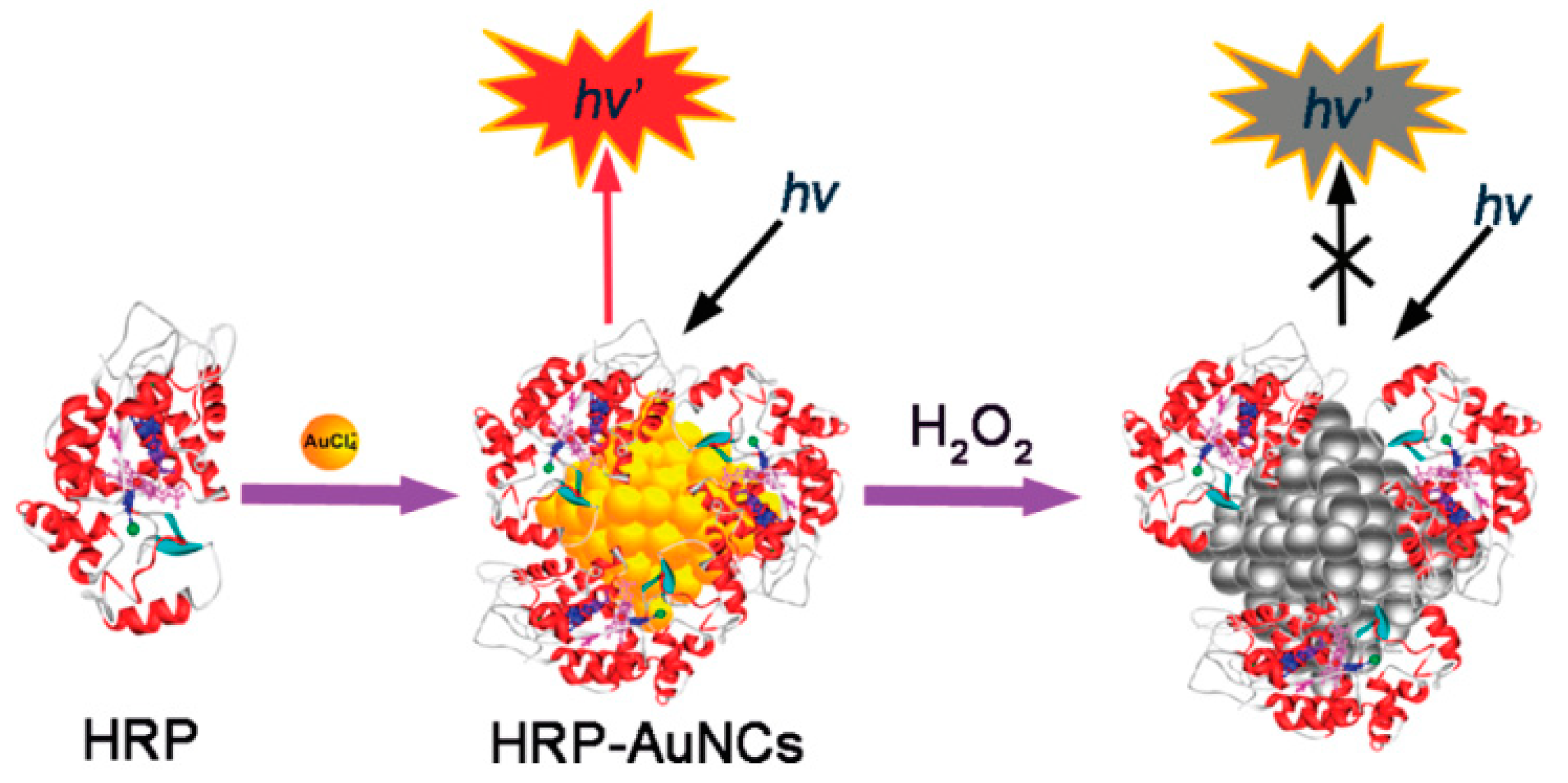 Molecules 24 03045 g006