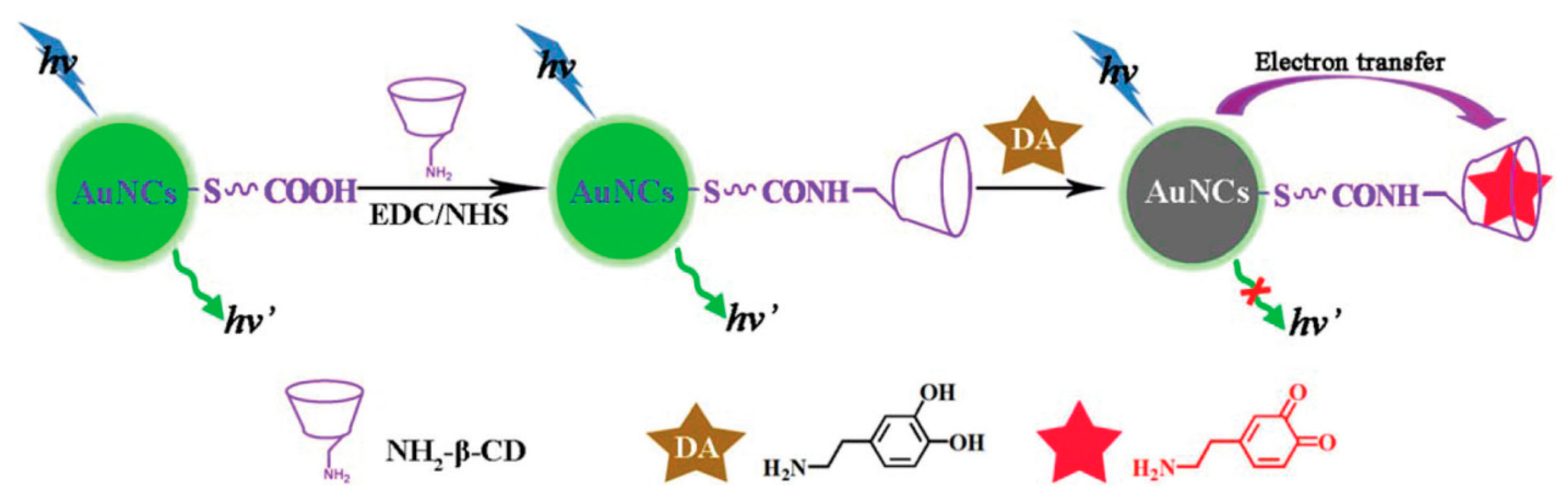 Molecules 24 03045 g007