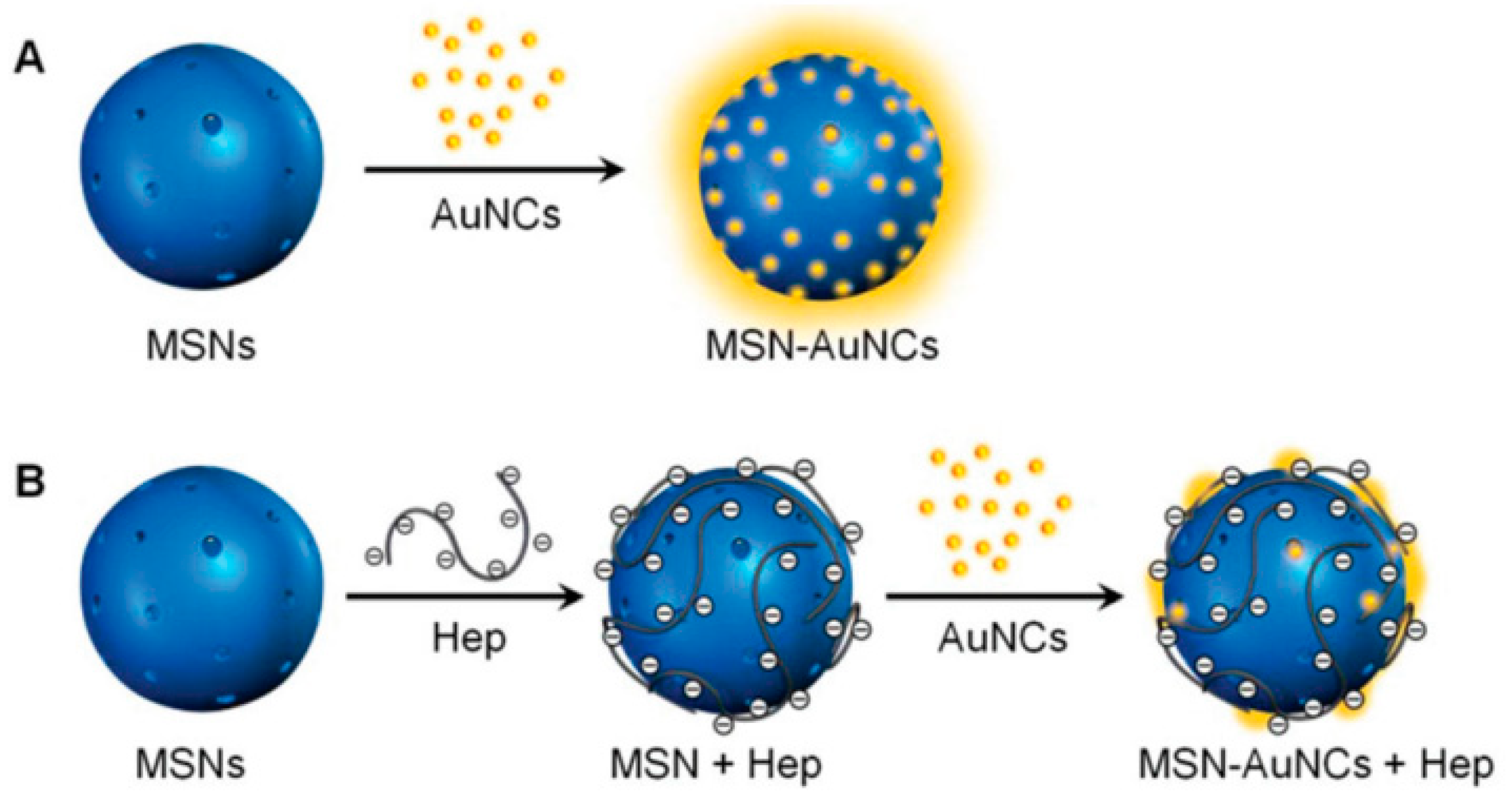 Molecules 24 03045 g009