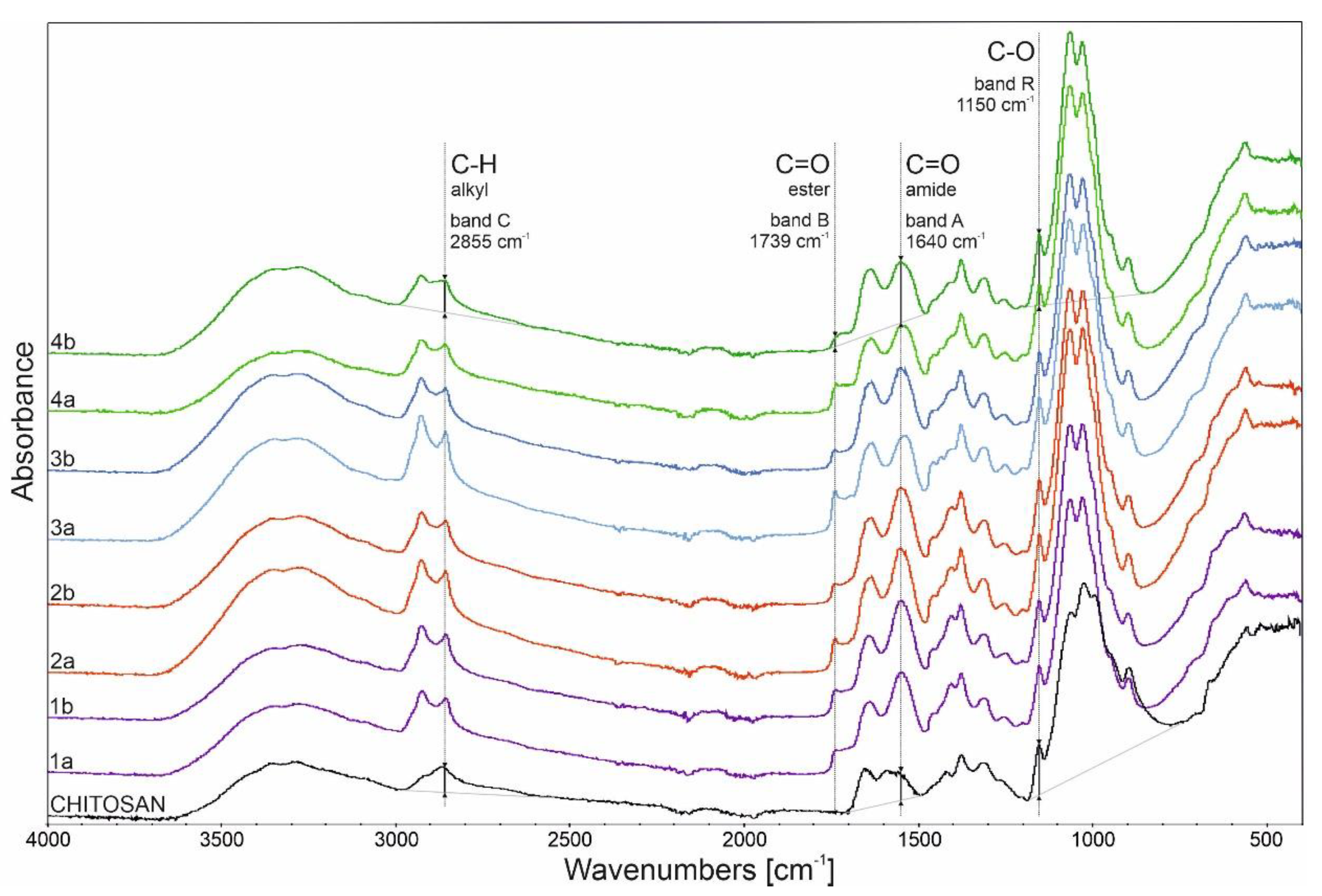 Molecules 24 03047 g001