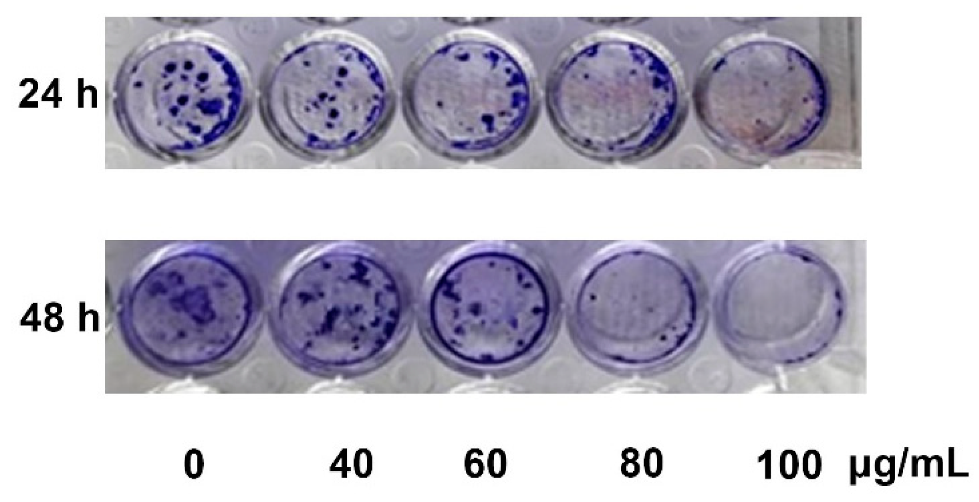 Molecules 24 03054 g002