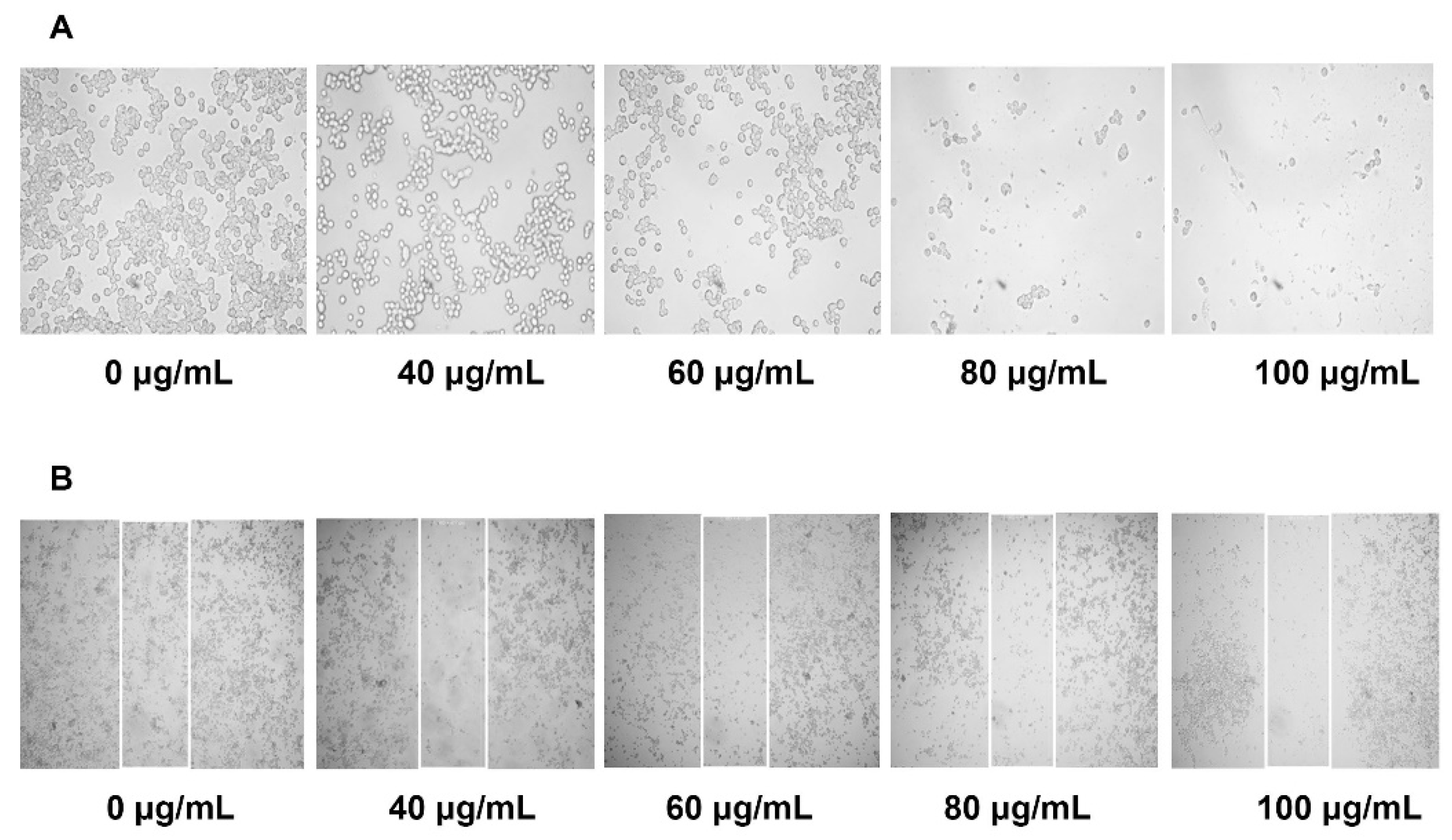 Molecules 24 03054 g003
